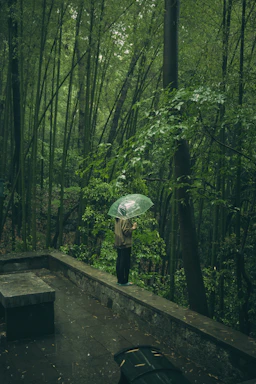 A person stands in the rain in a forest.