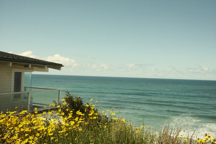 Coastal house with damp and salt air environment