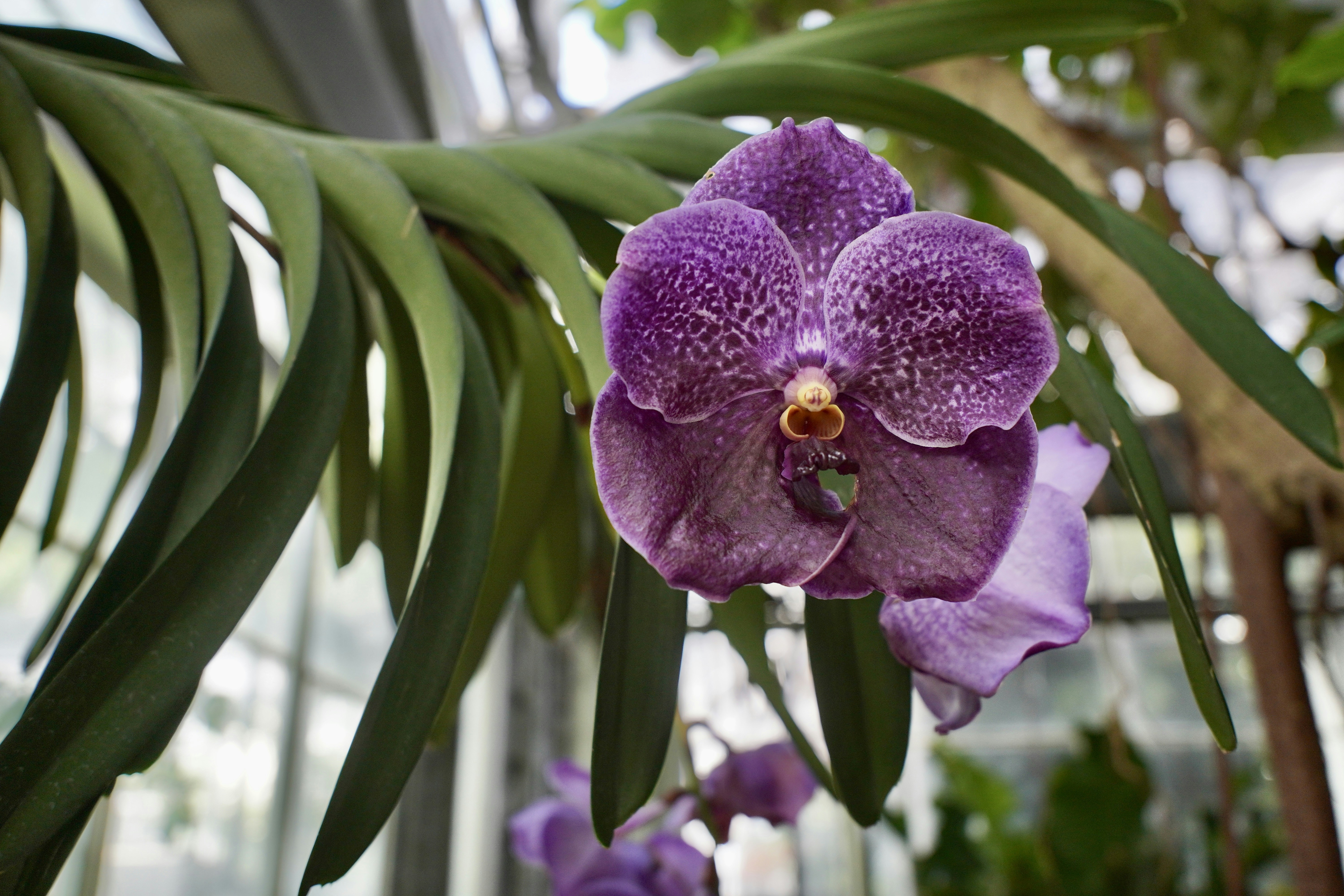 Photo by brettwharton