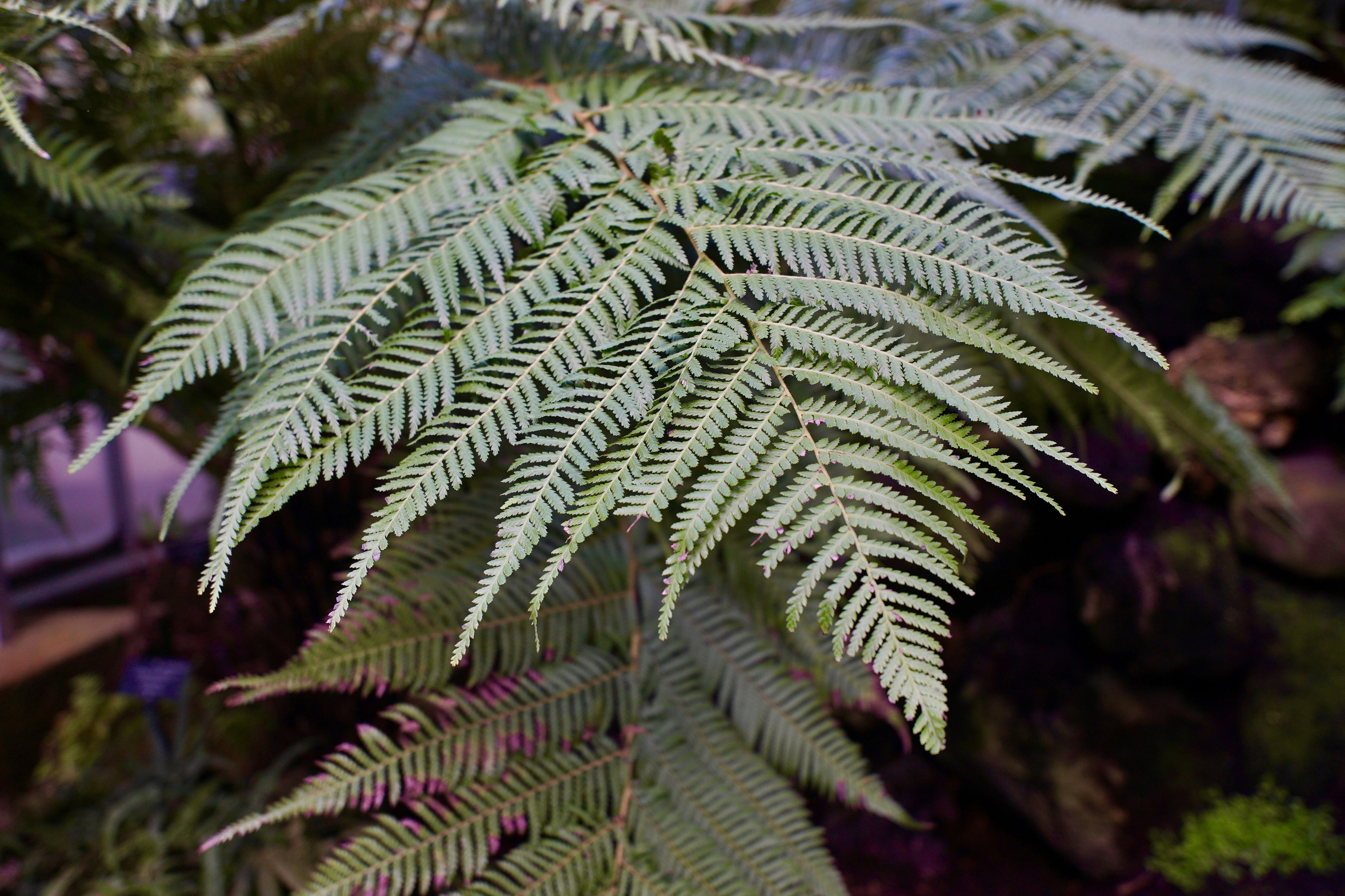 Photo by brettwharton