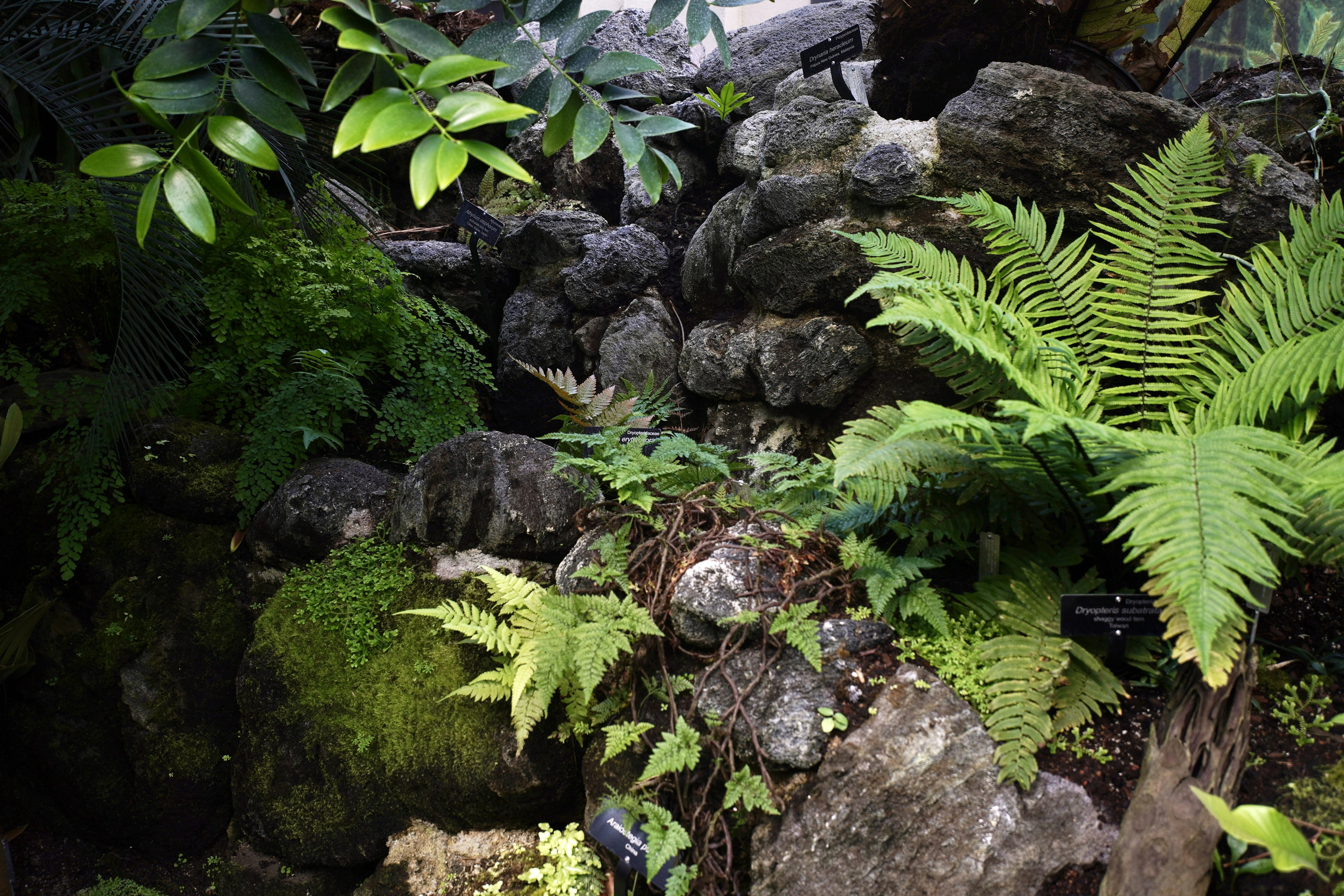 Photo by brettwharton