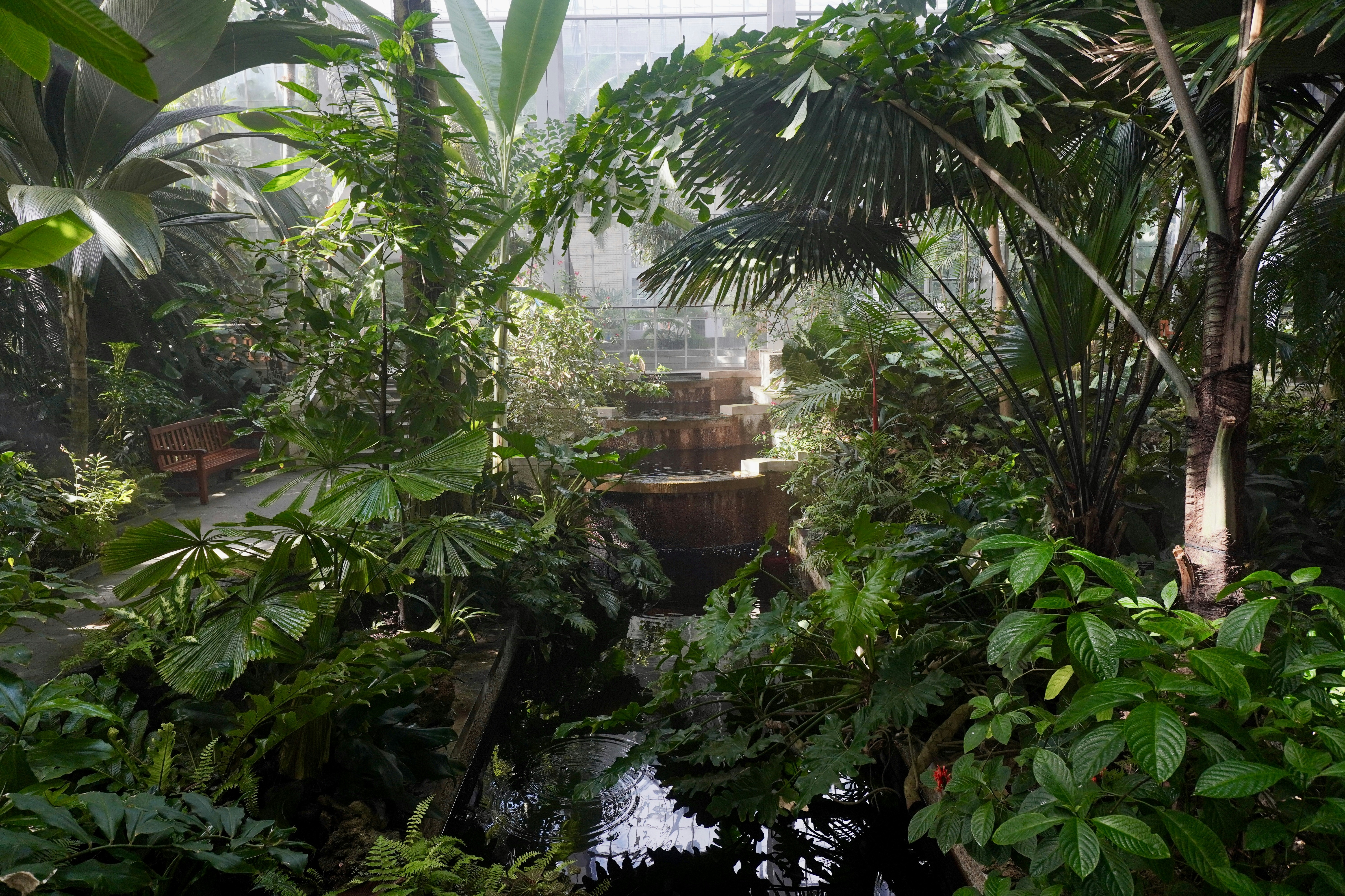 Photo by brettwharton