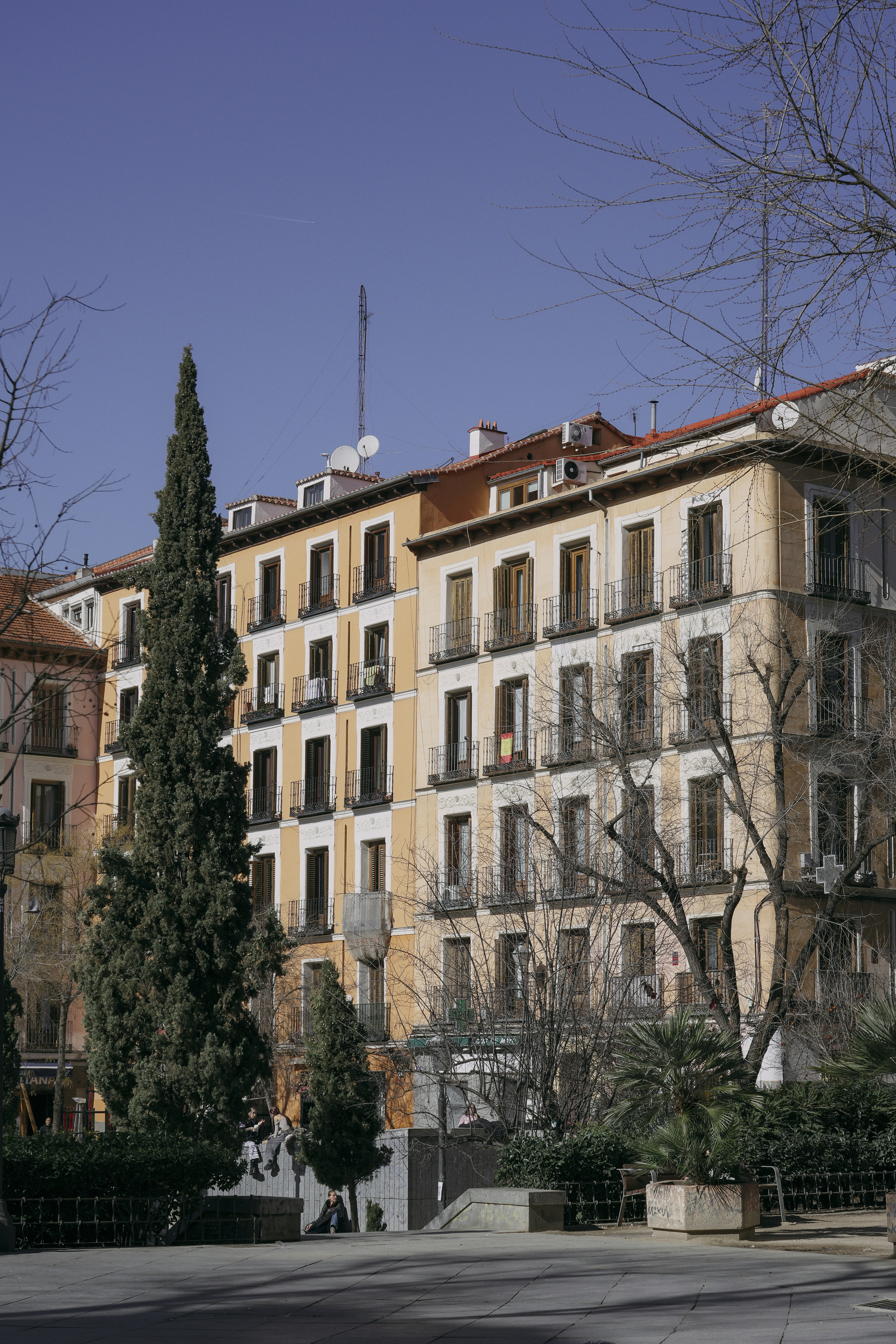 Best Times to Experience the Plaza