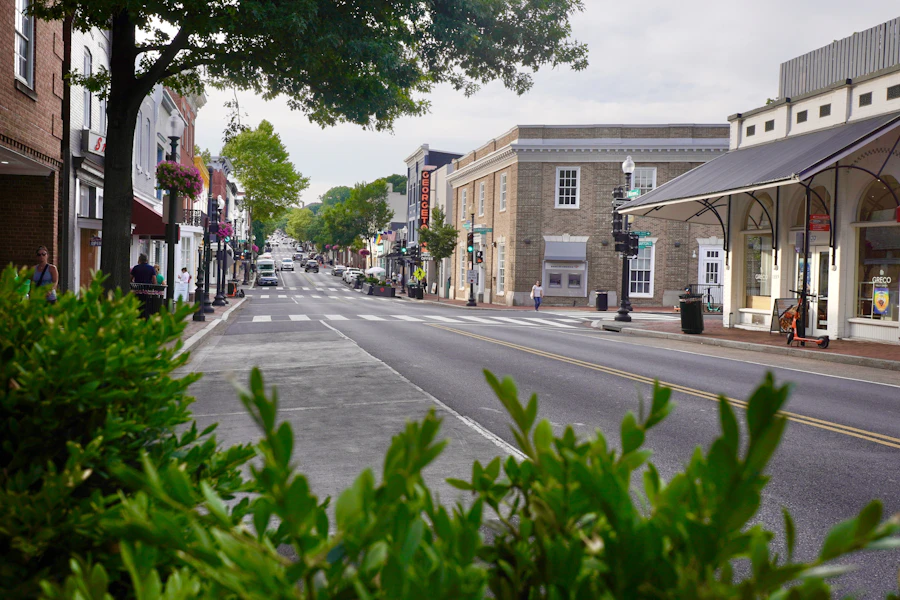 A quiet tree lined street in a small town