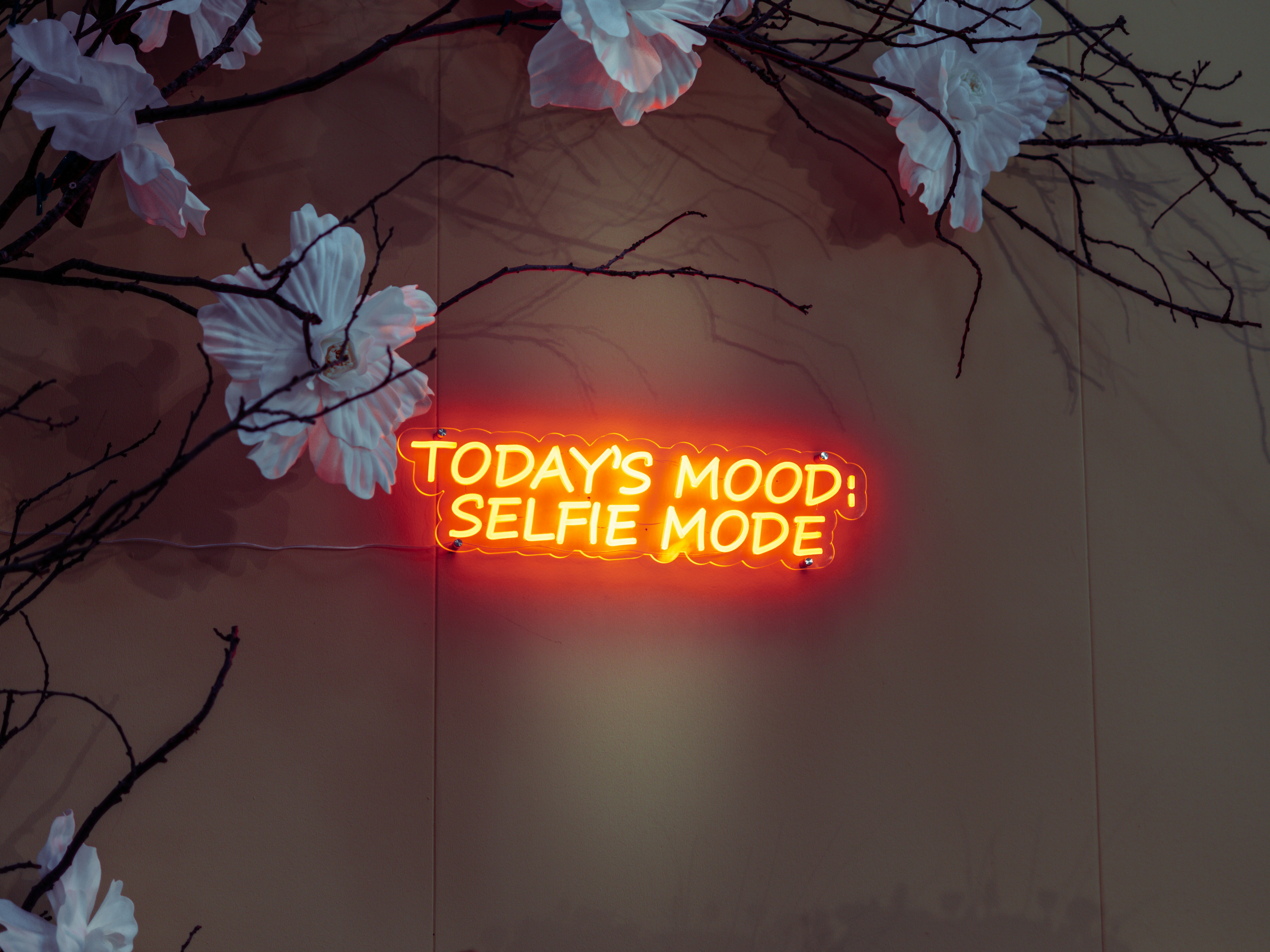 Neon sign: "today's mood: selfie mode."