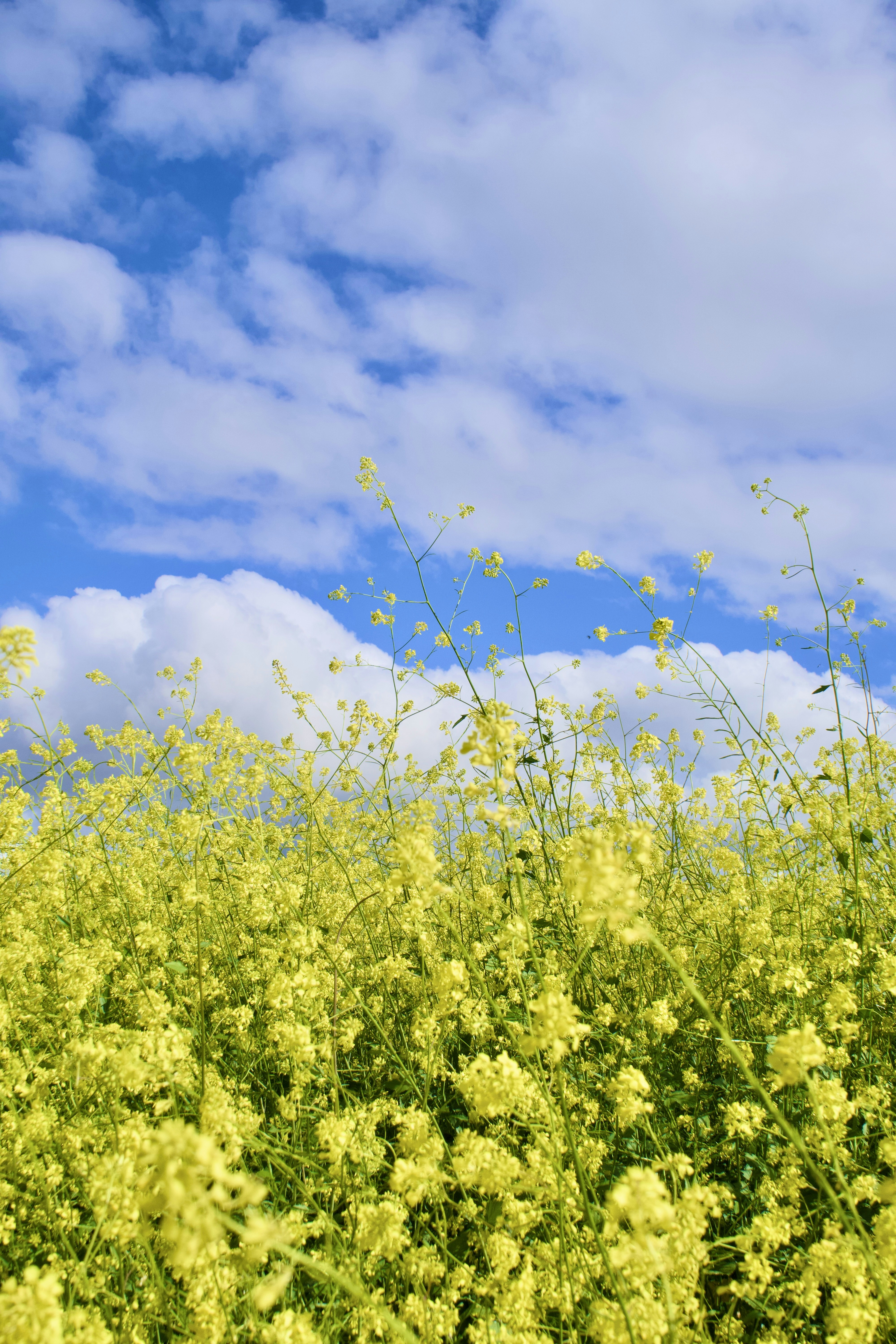 Photo by spencer_demera