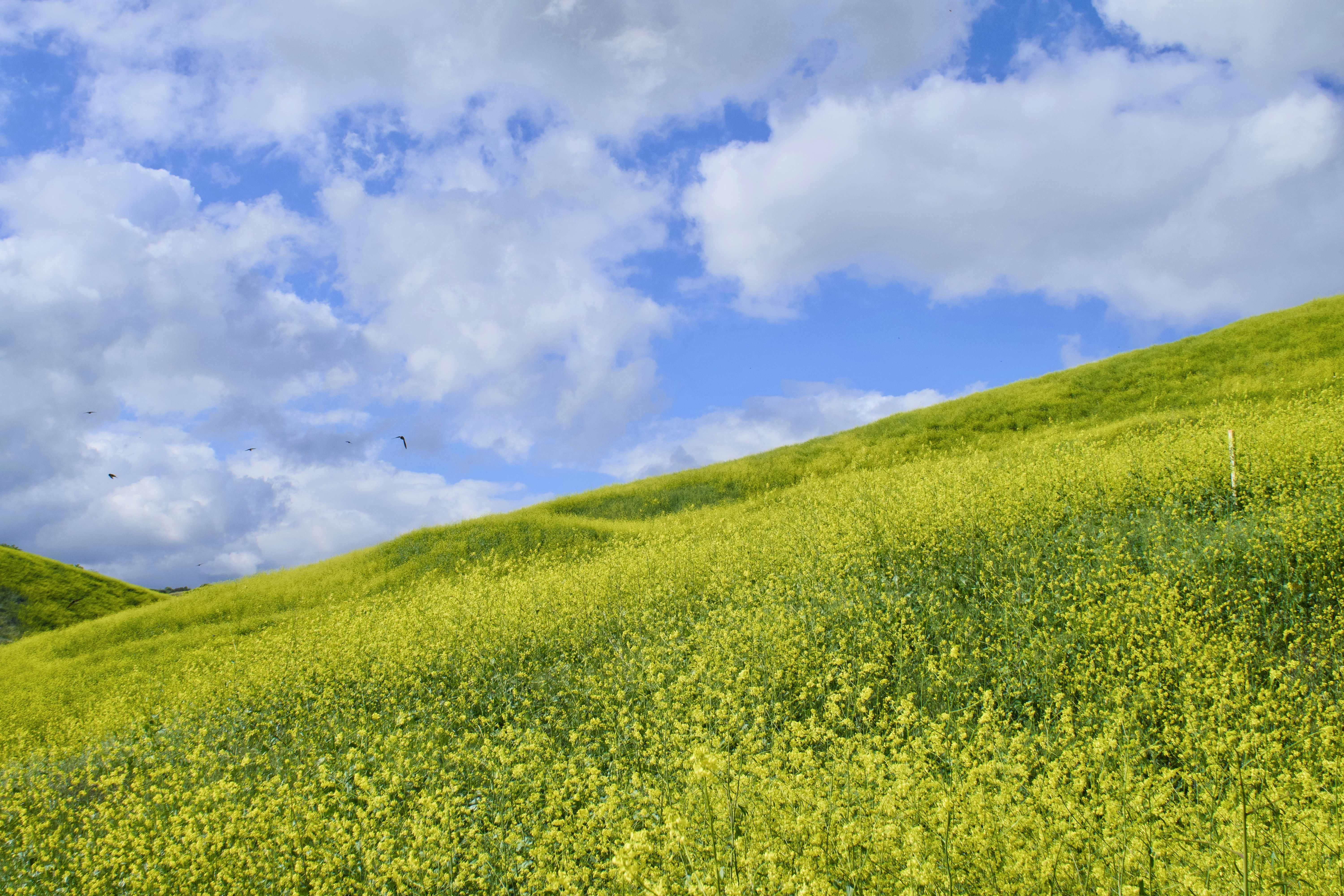 Moreno Valley, California