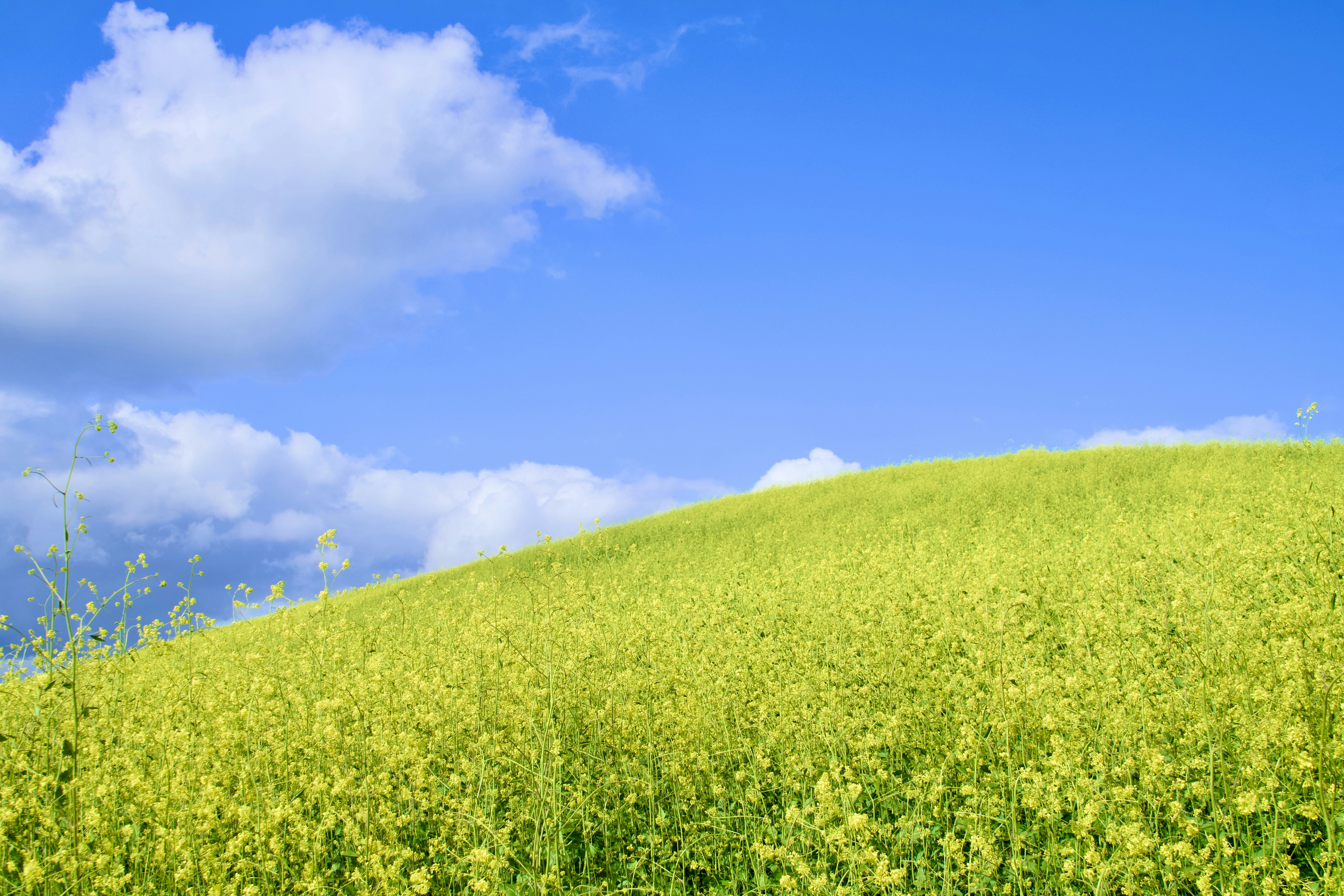 Photo by spencer_demera