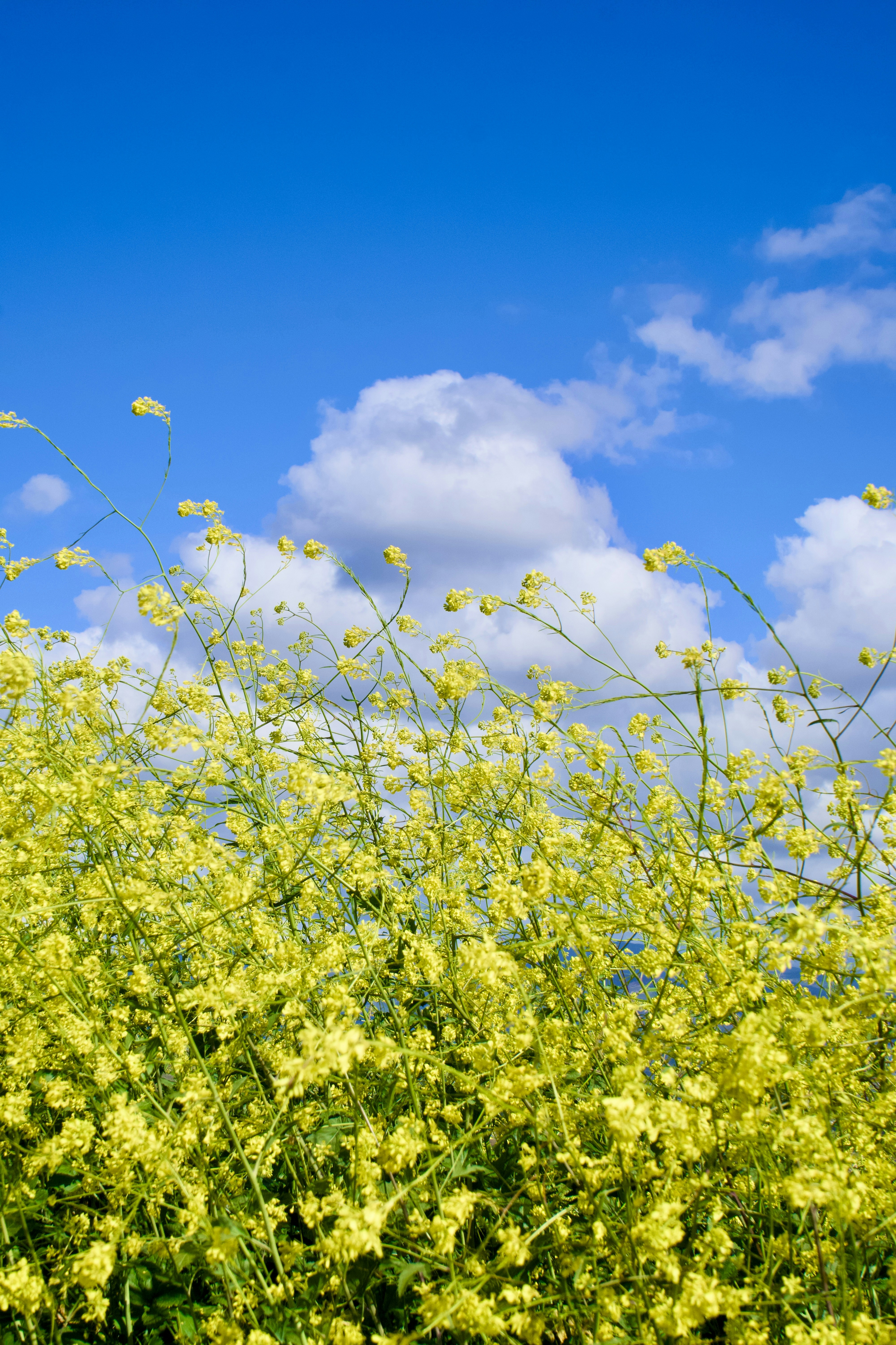 Photo by spencer_demera