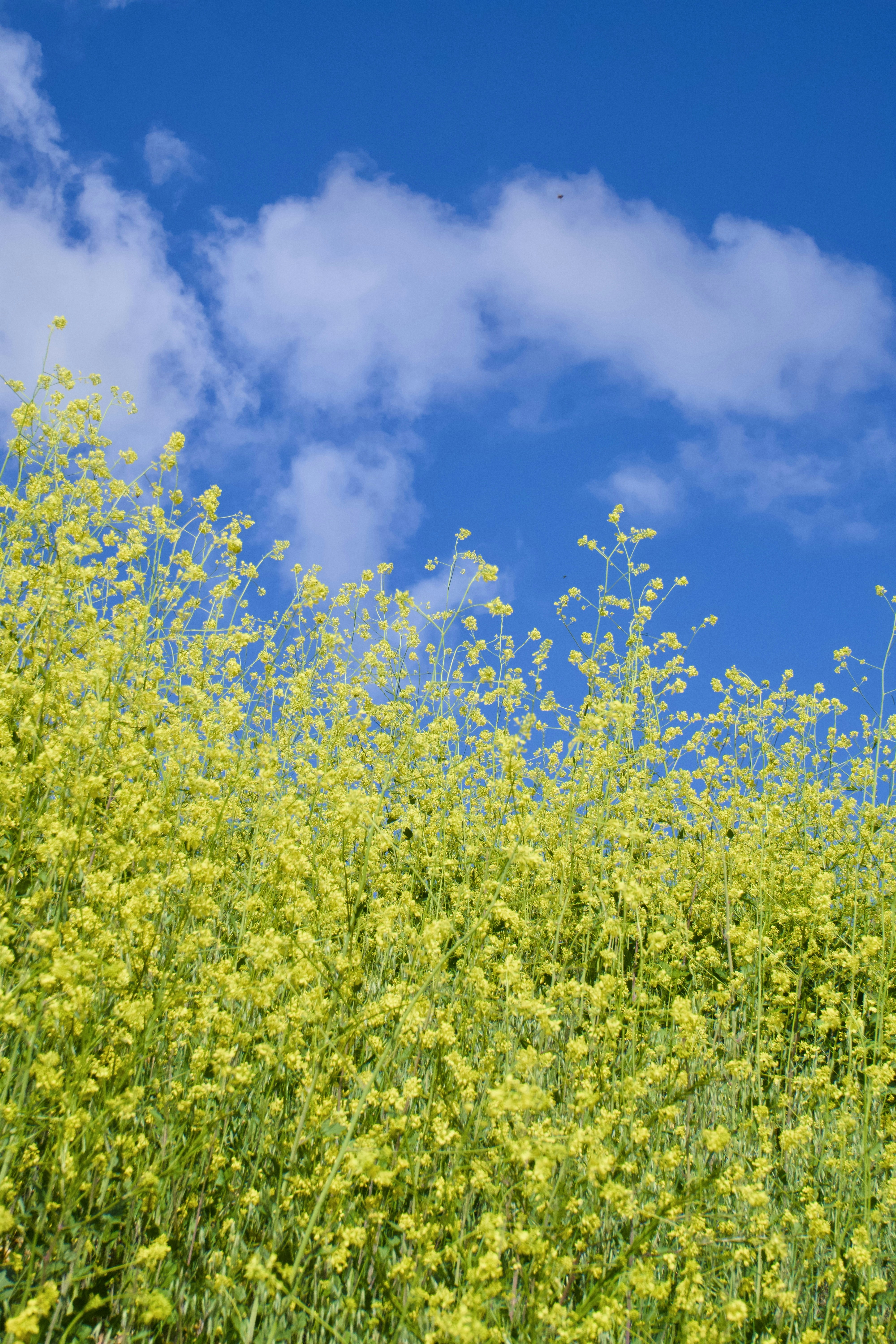 Photo by spencer_demera