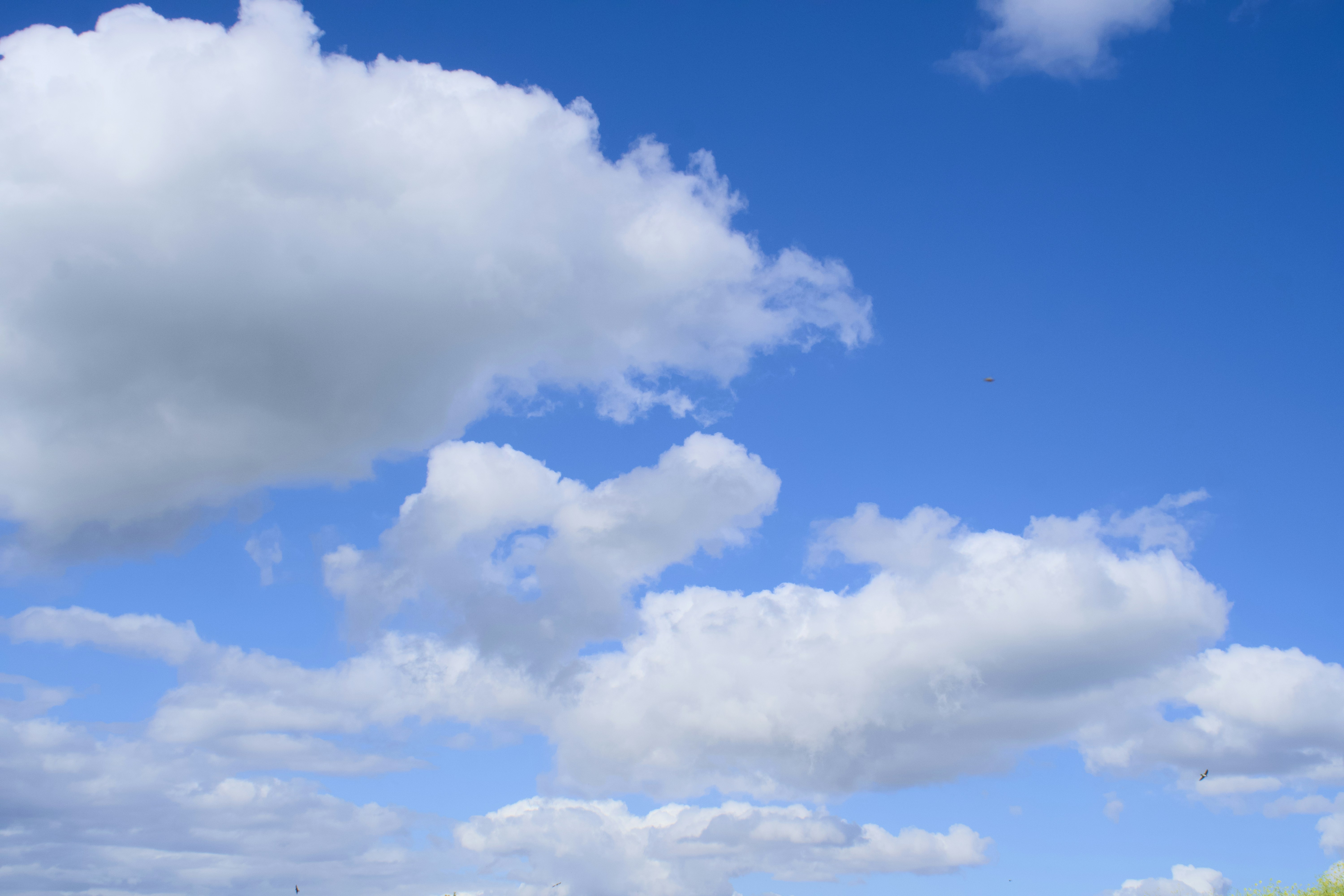 Photo by spencer_demera