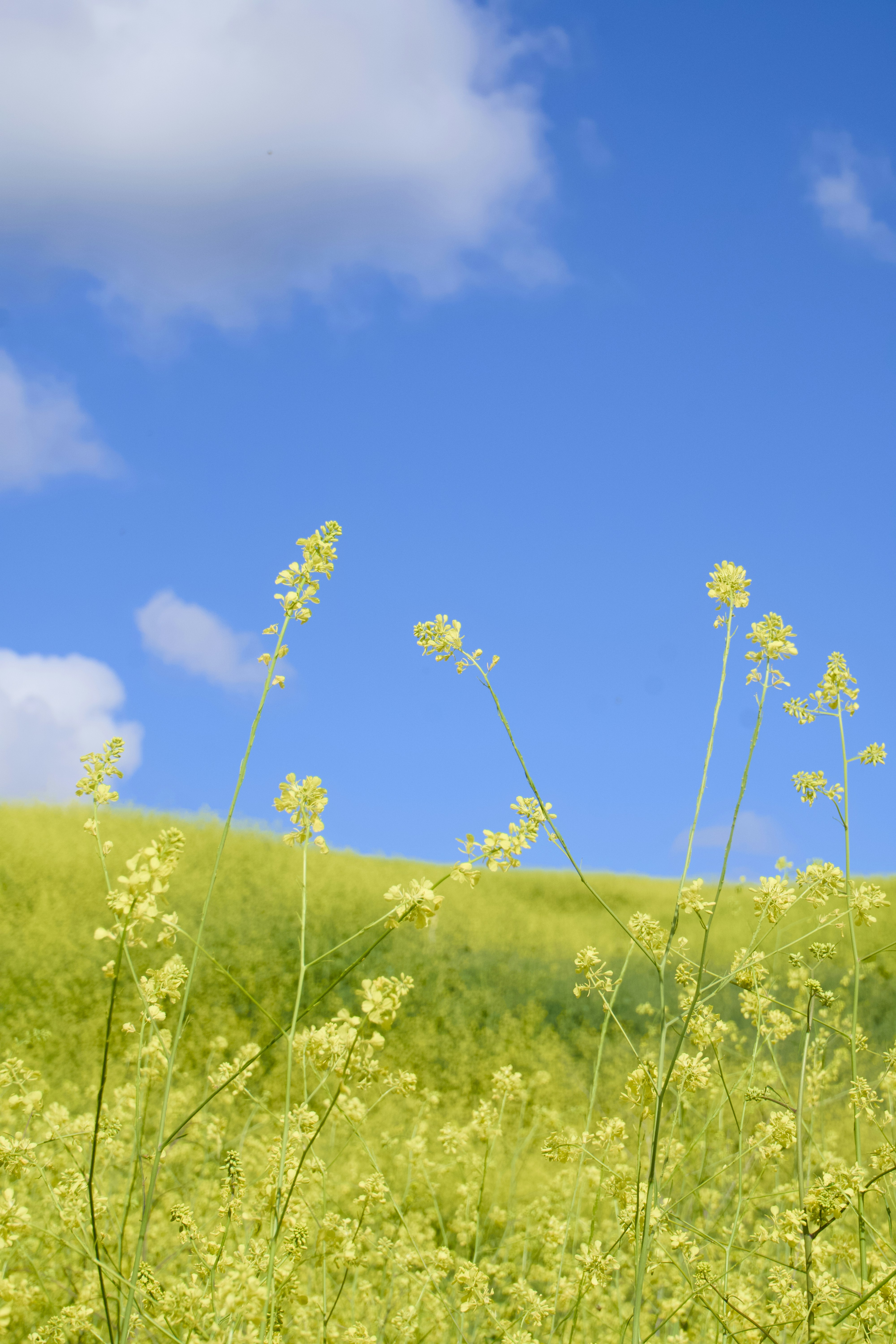 Photo by spencer_demera