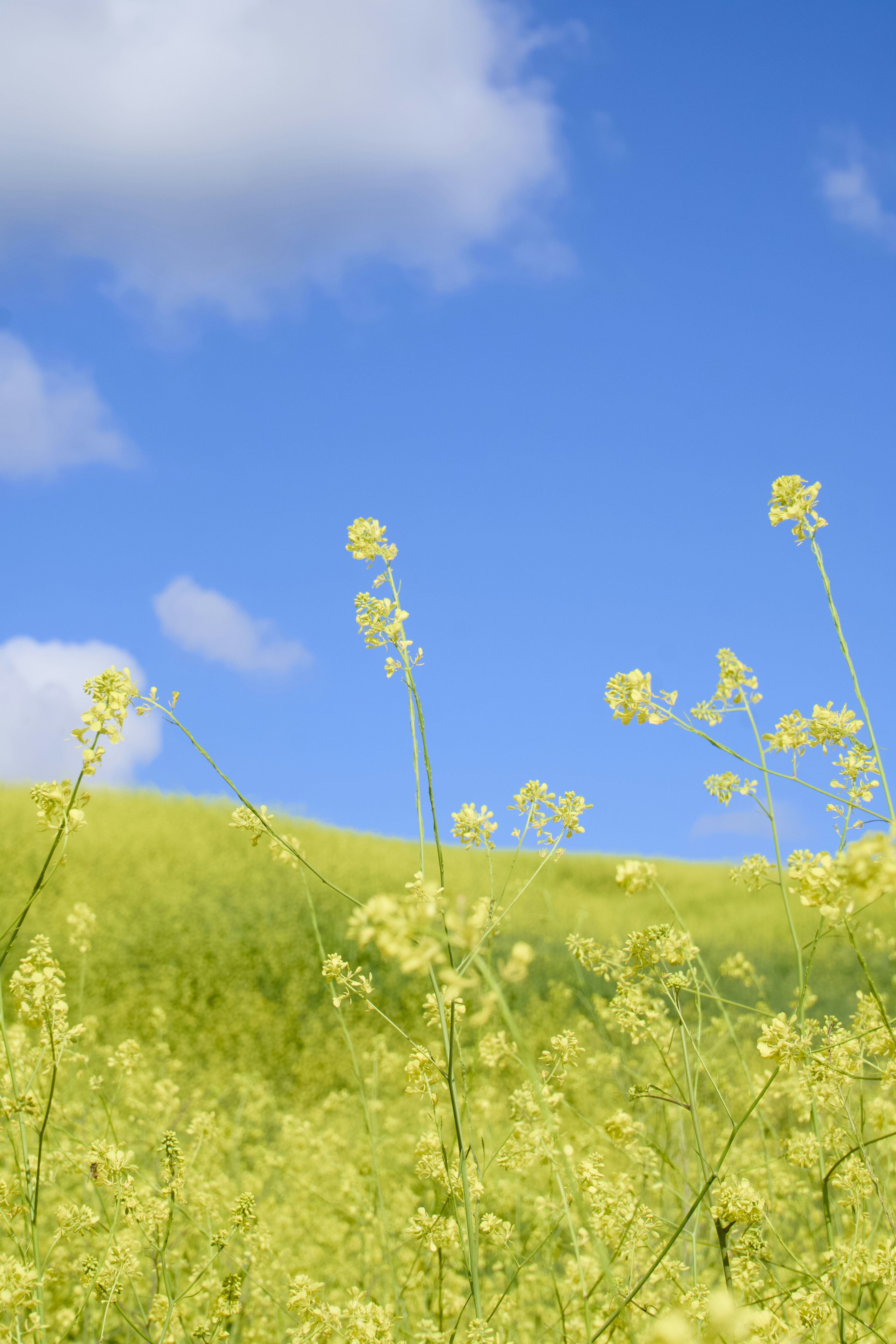 Photo by spencer_demera