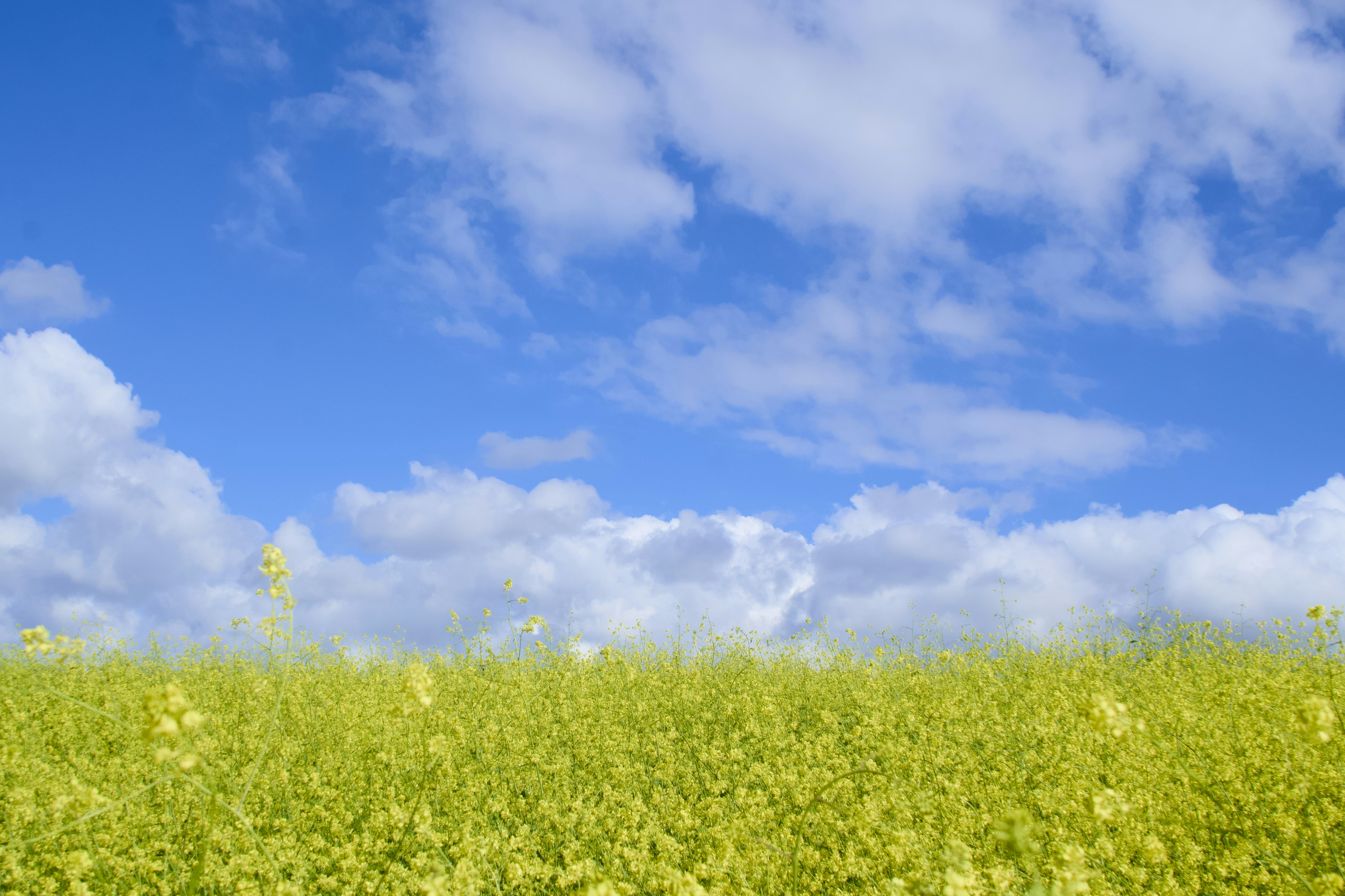 Photo by spencer_demera