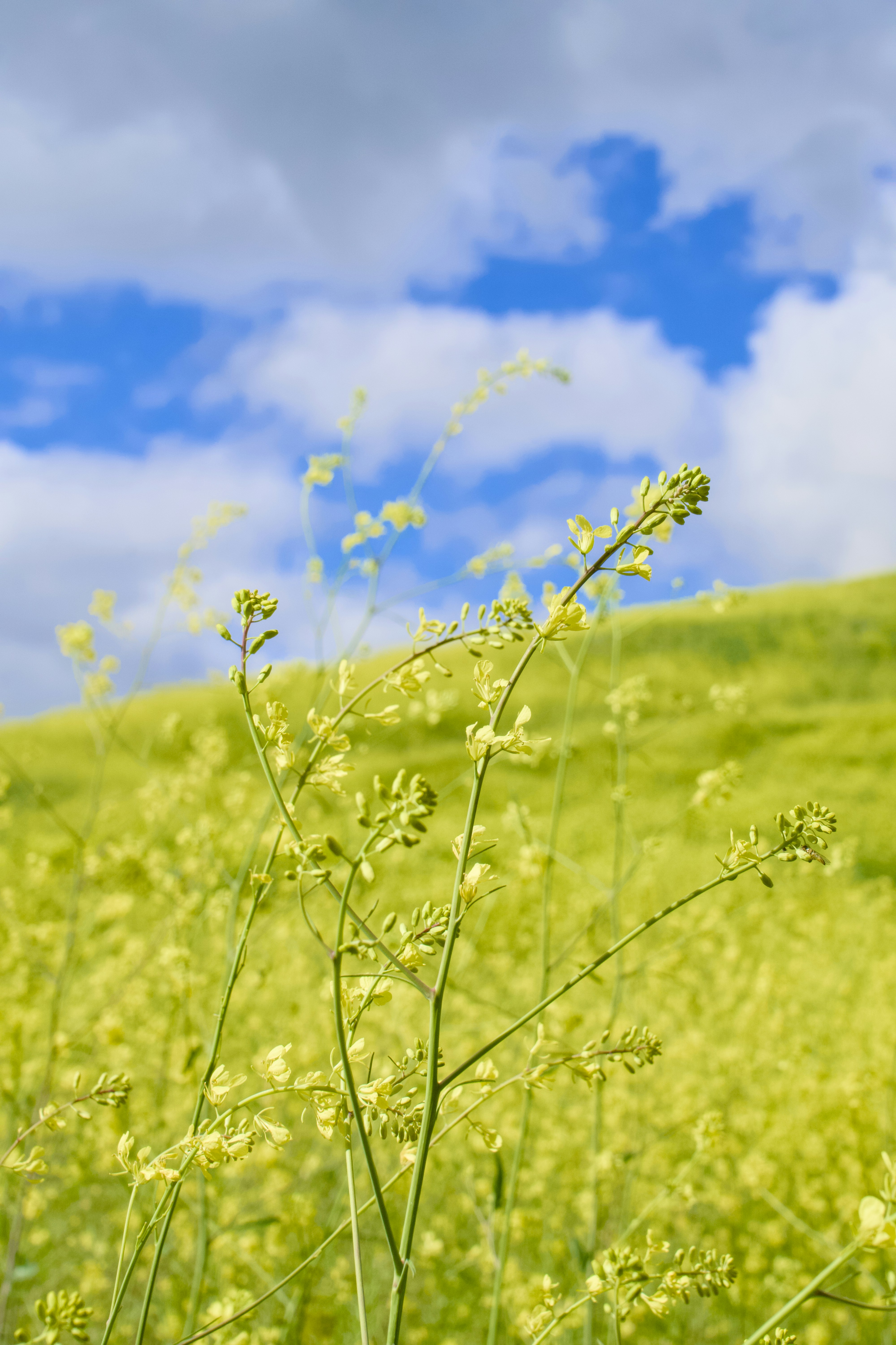 Photo by spencer_demera