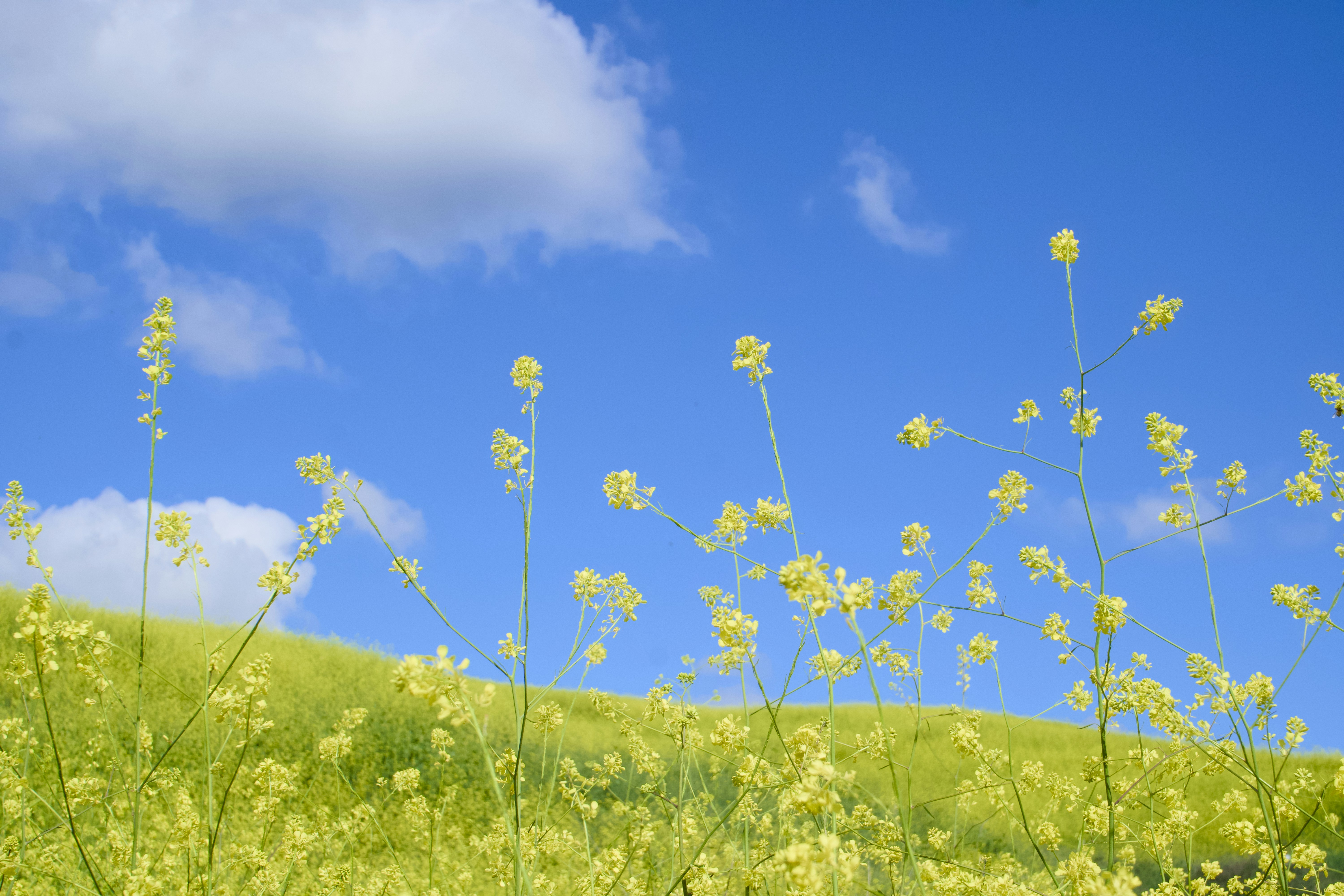 Photo by spencer_demera