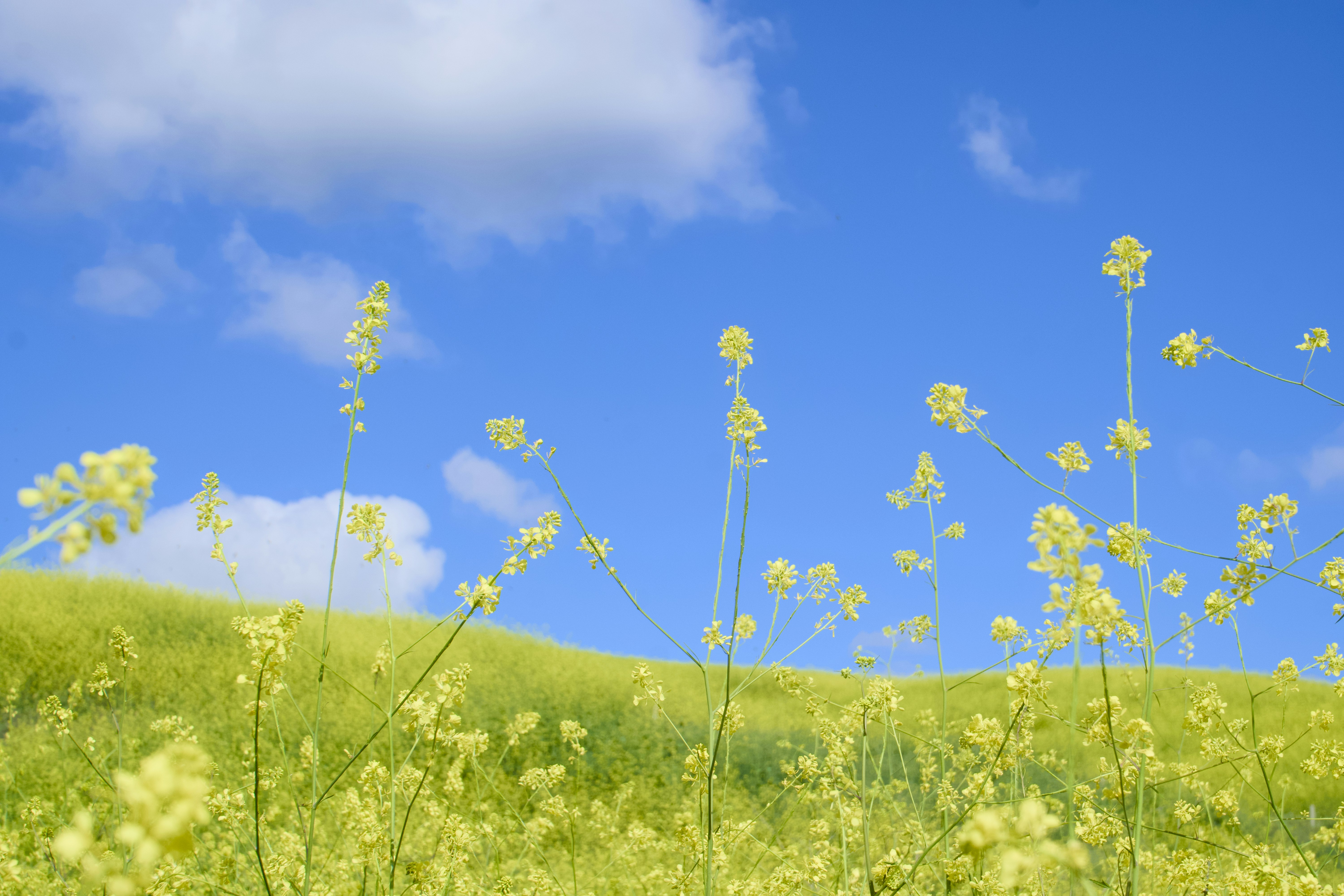 Photo by spencer_demera