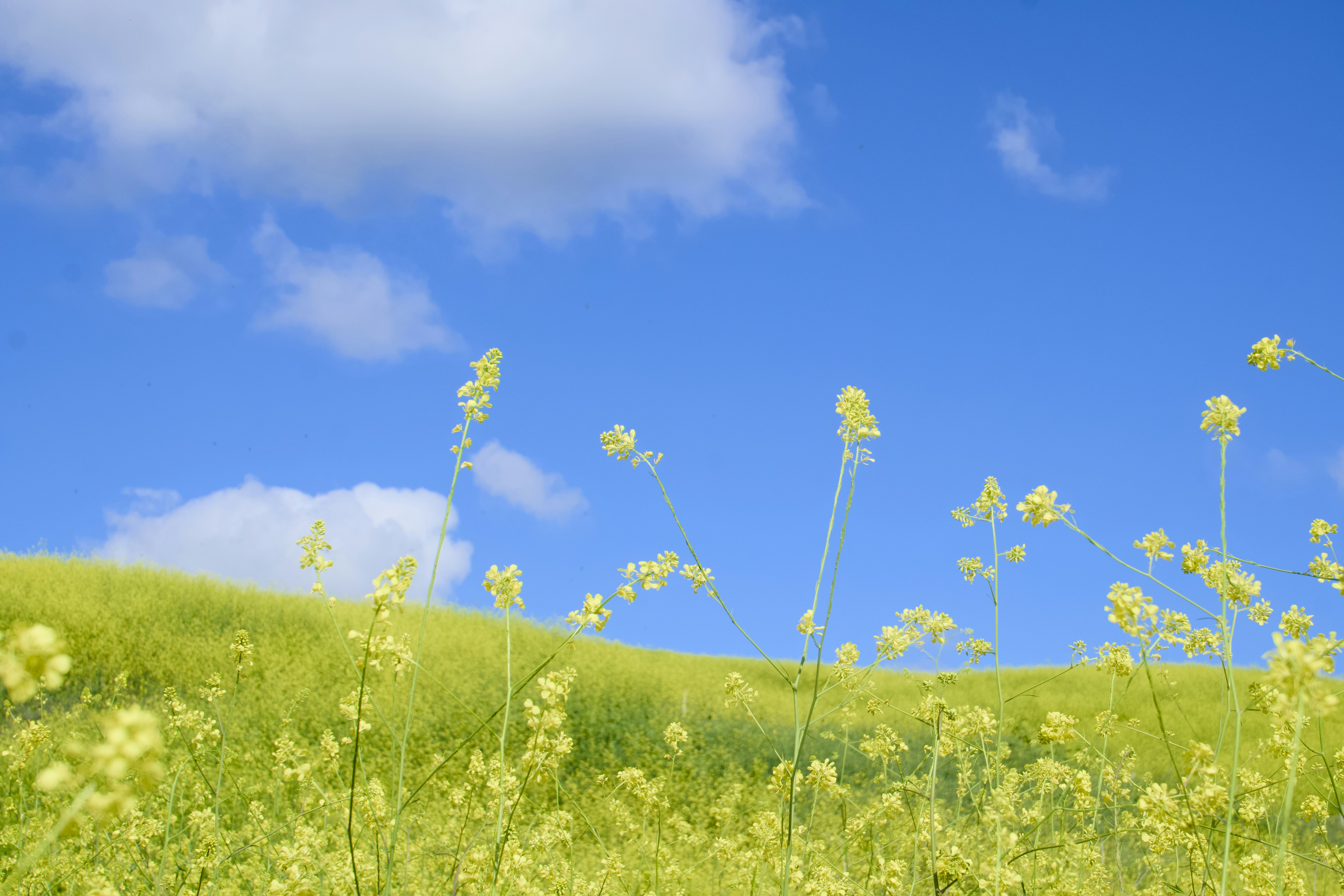 Photo by spencer_demera