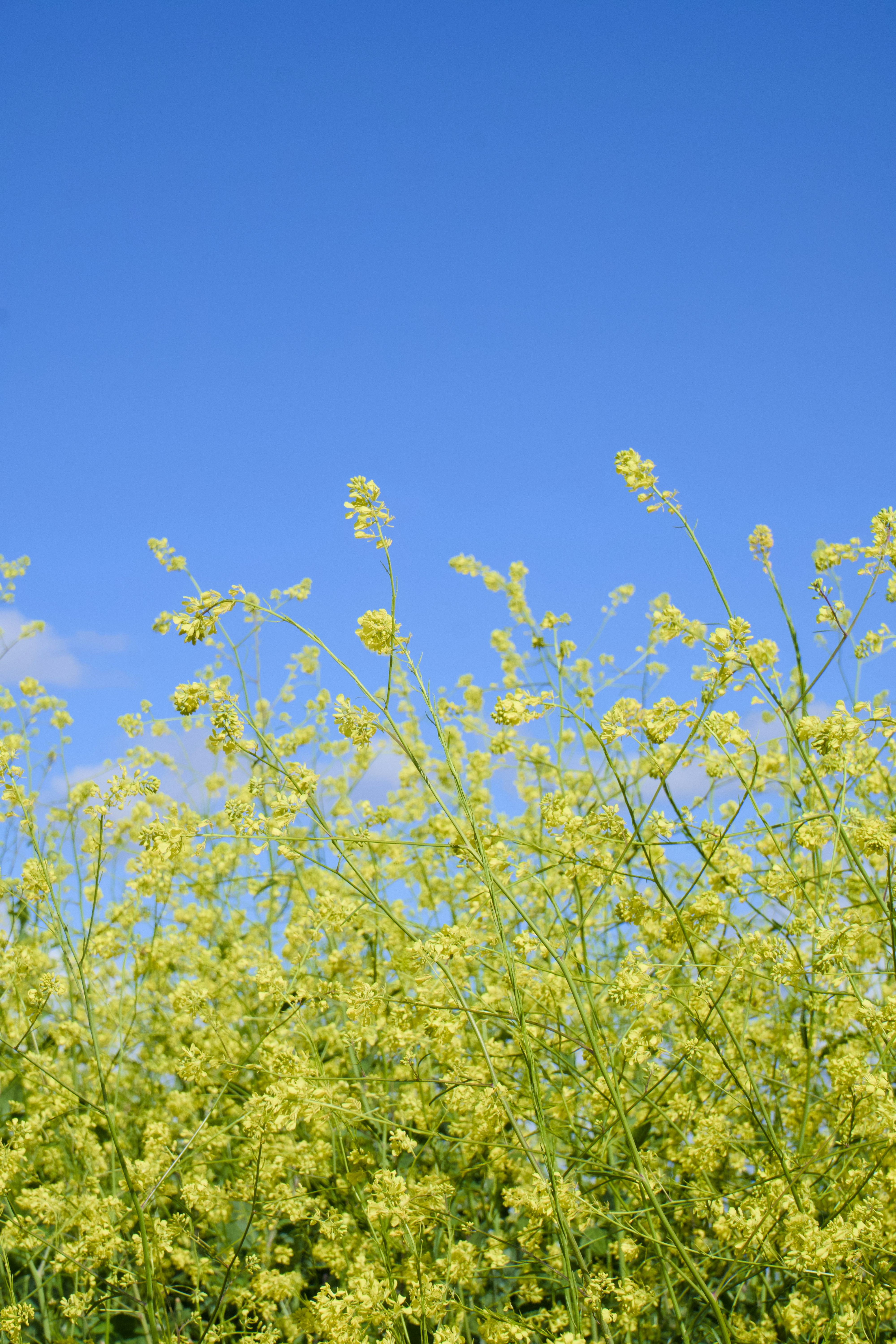 Photo by spencer_demera