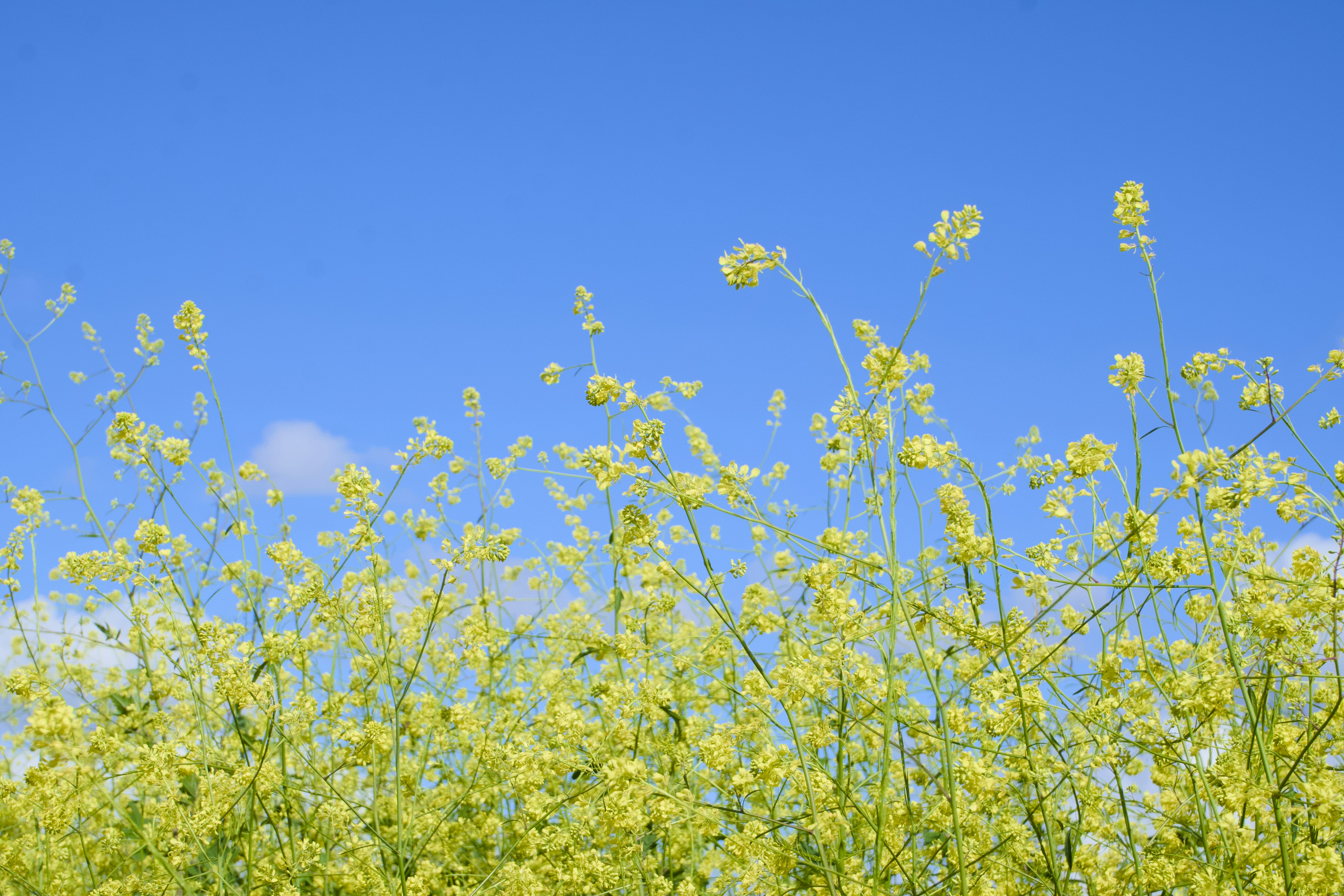 Photo by spencer_demera