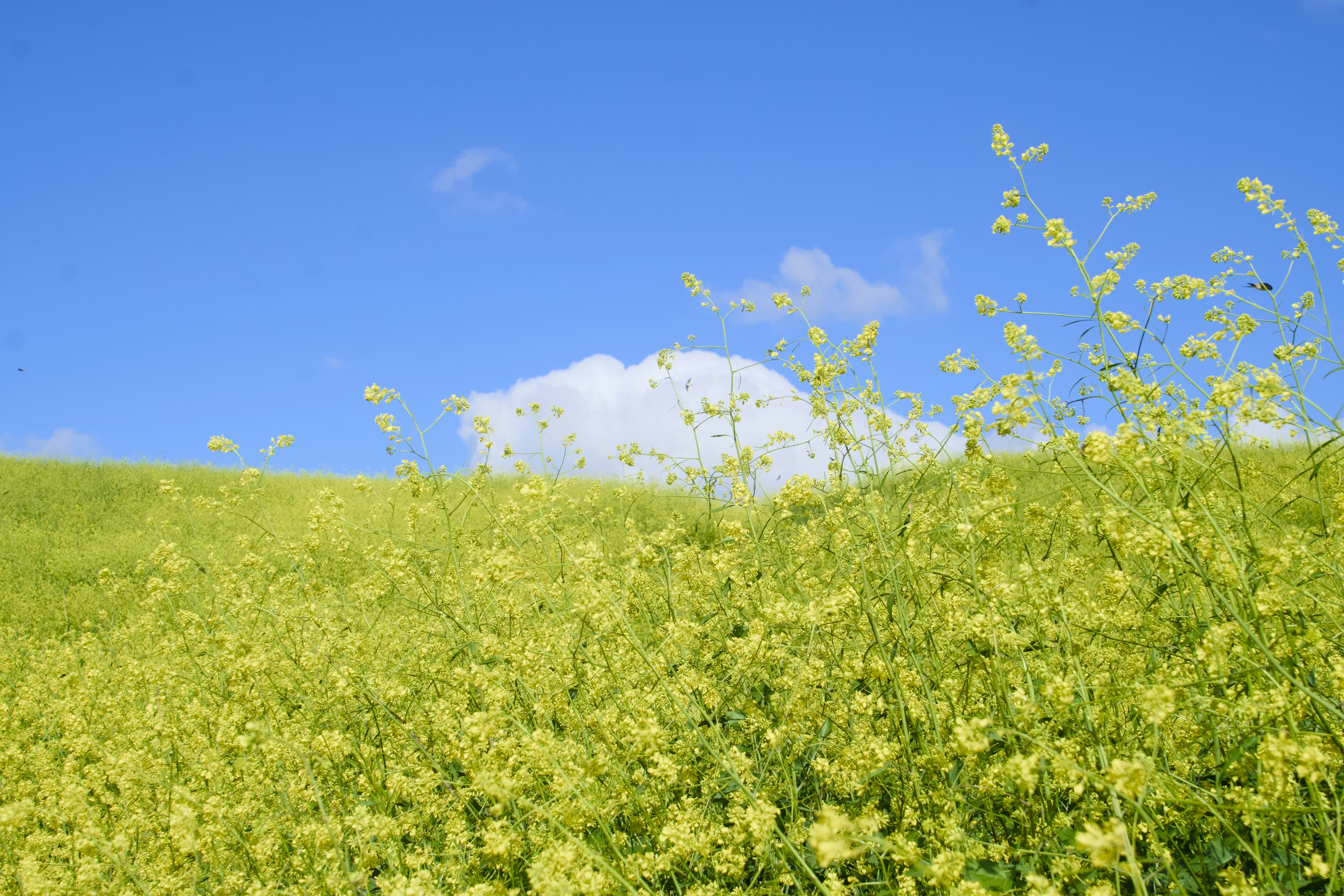 Photo by spencer_demera