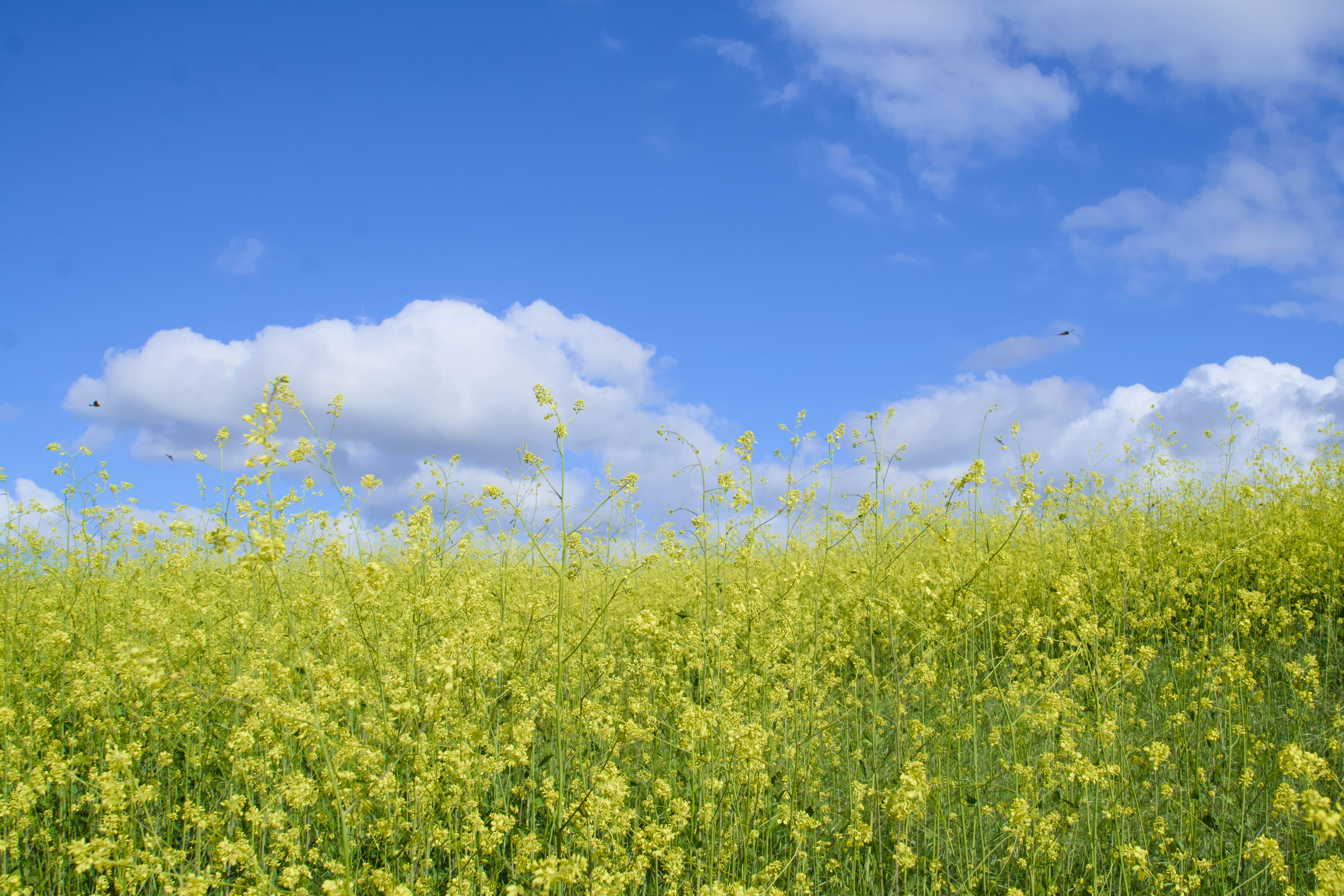 Photo by spencer_demera