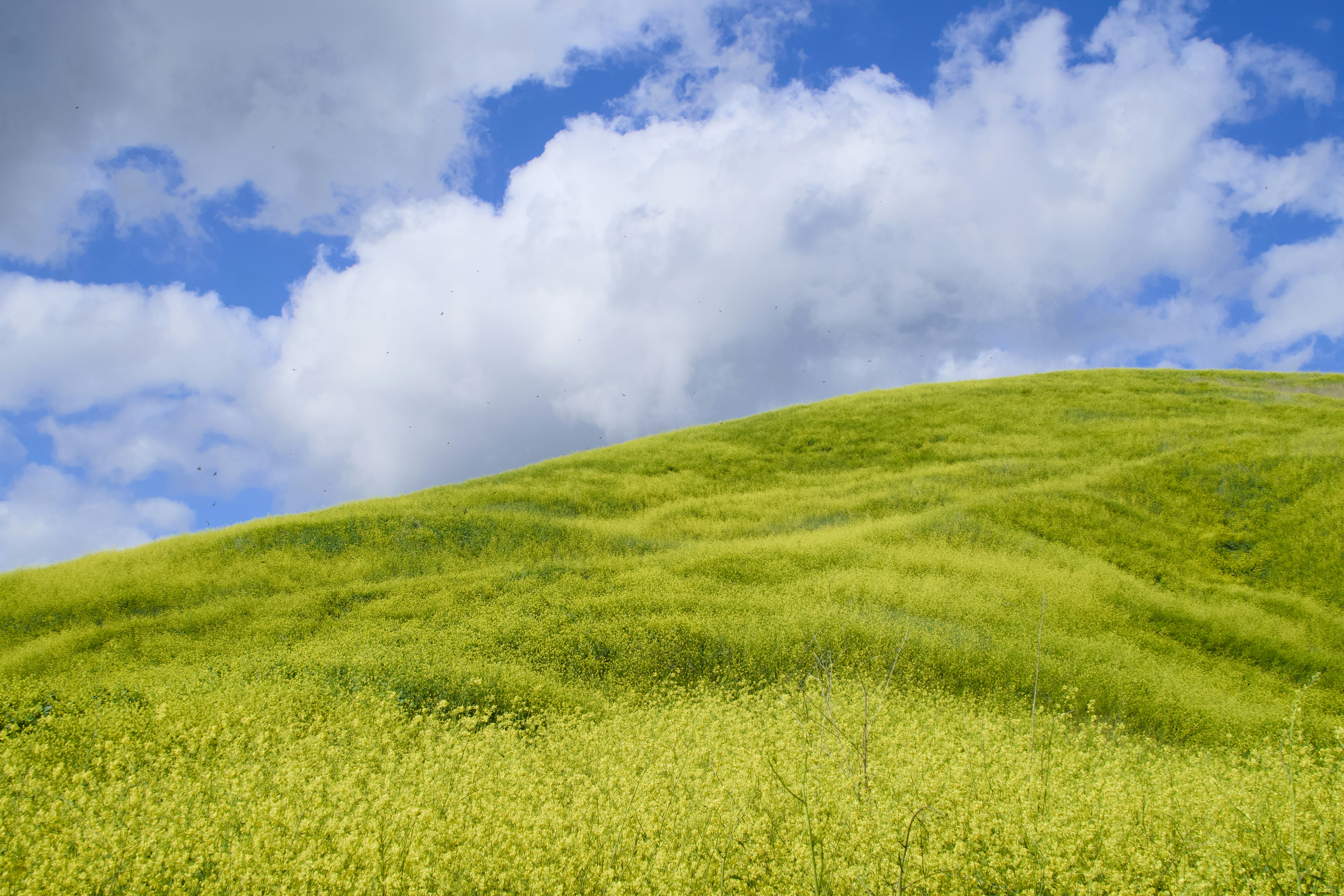 Photo by spencer_demera