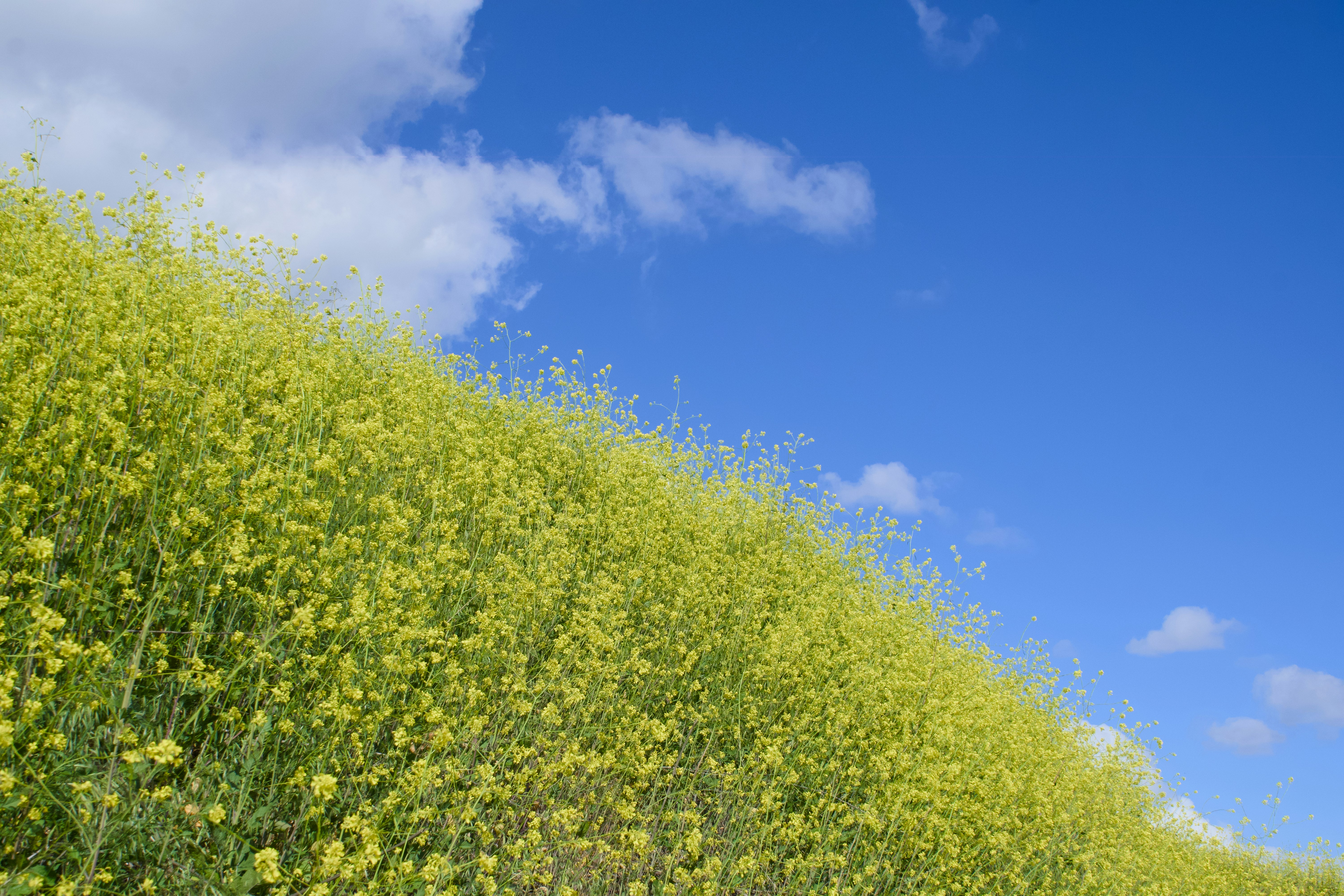 Photo by spencer_demera