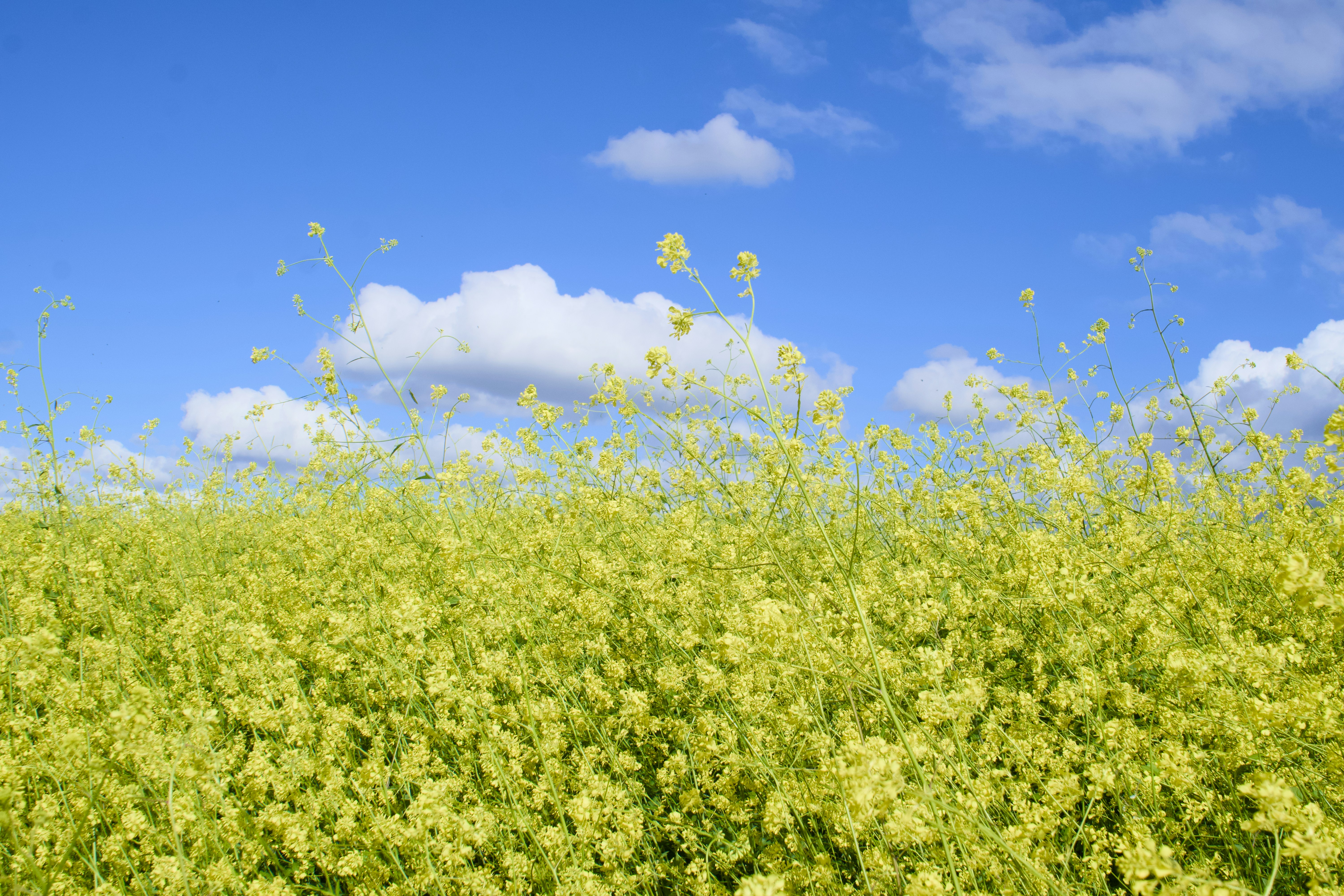 Photo by spencer_demera