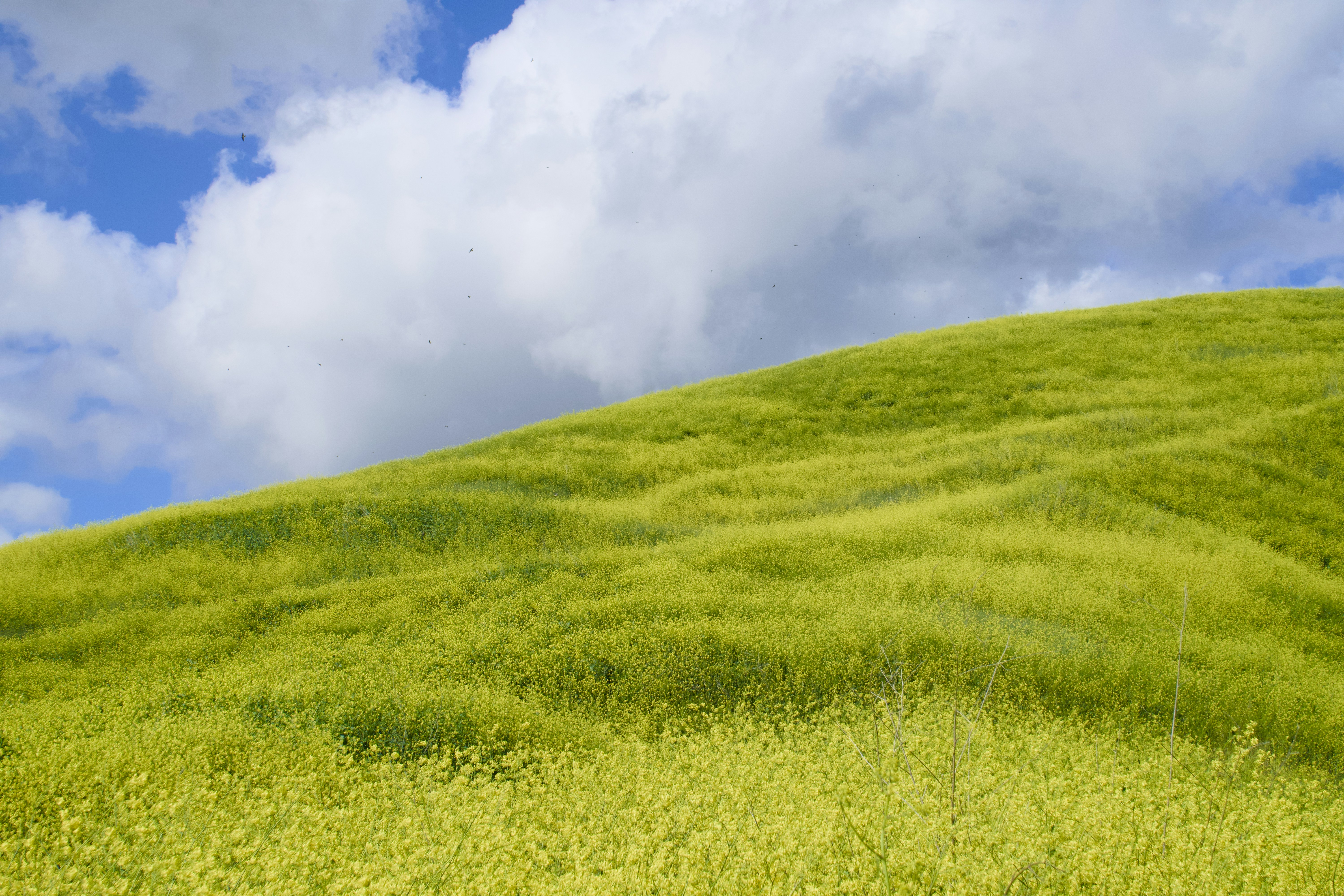 Photo by spencer_demera