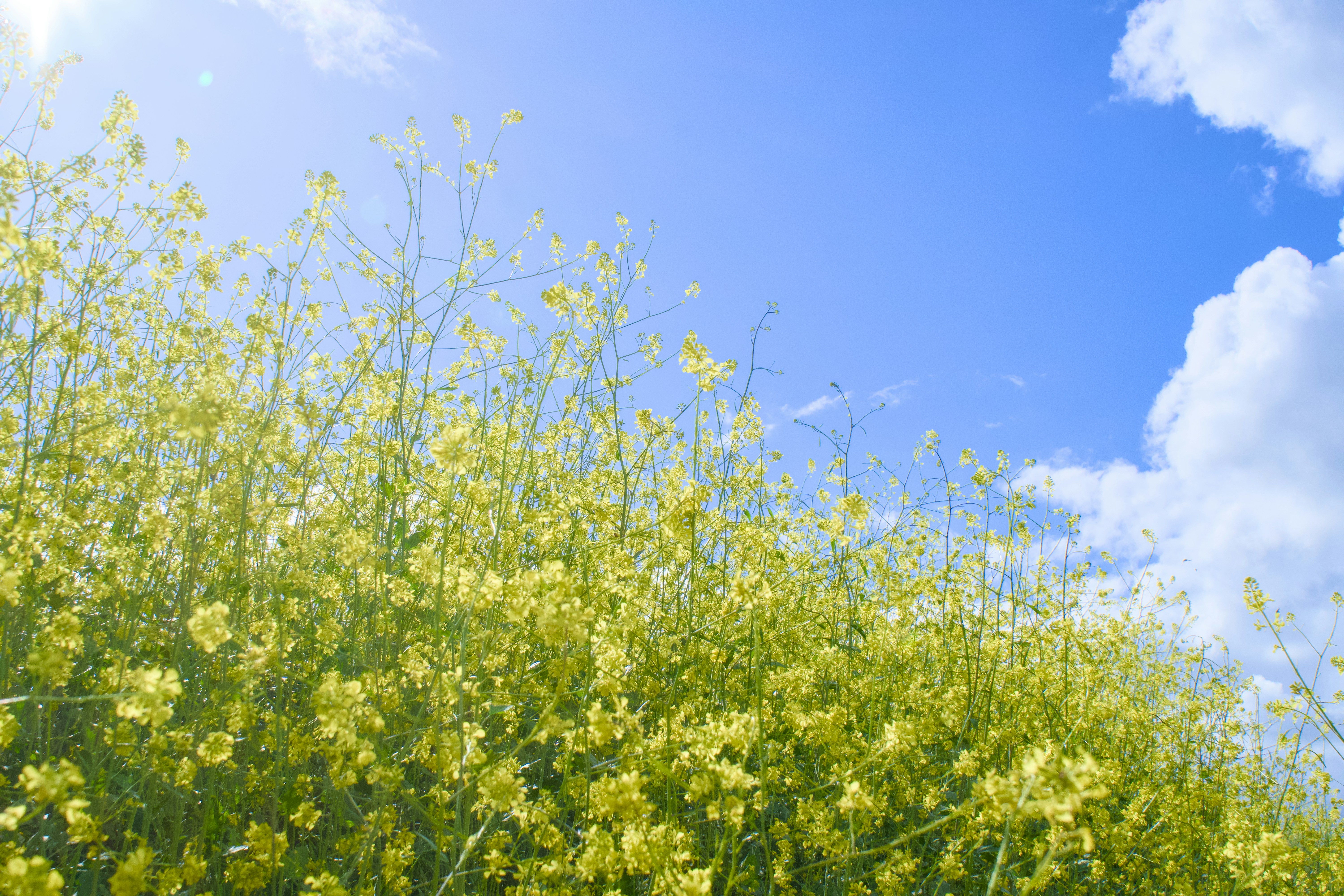 Photo by spencer_demera