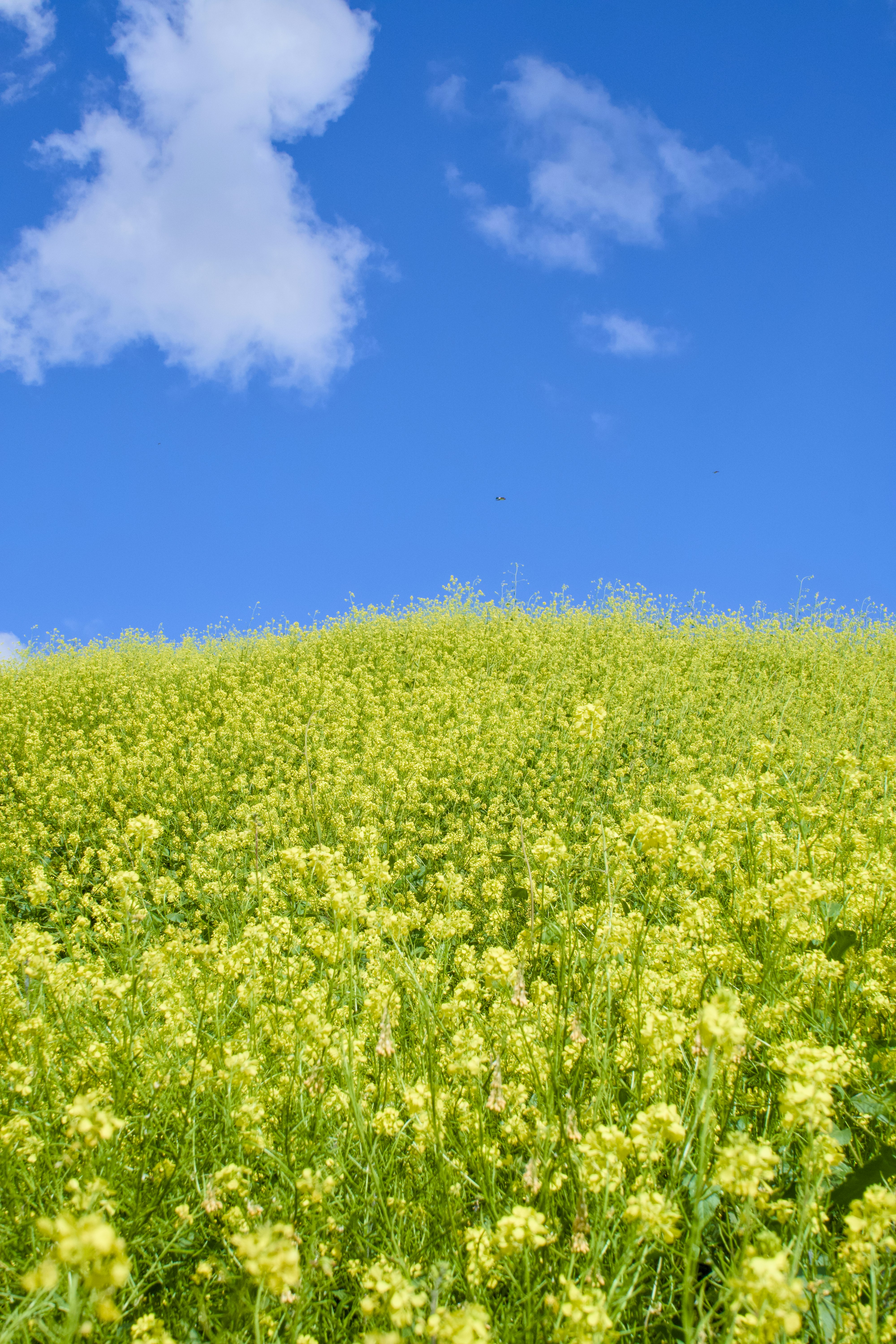 Photo by spencer_demera