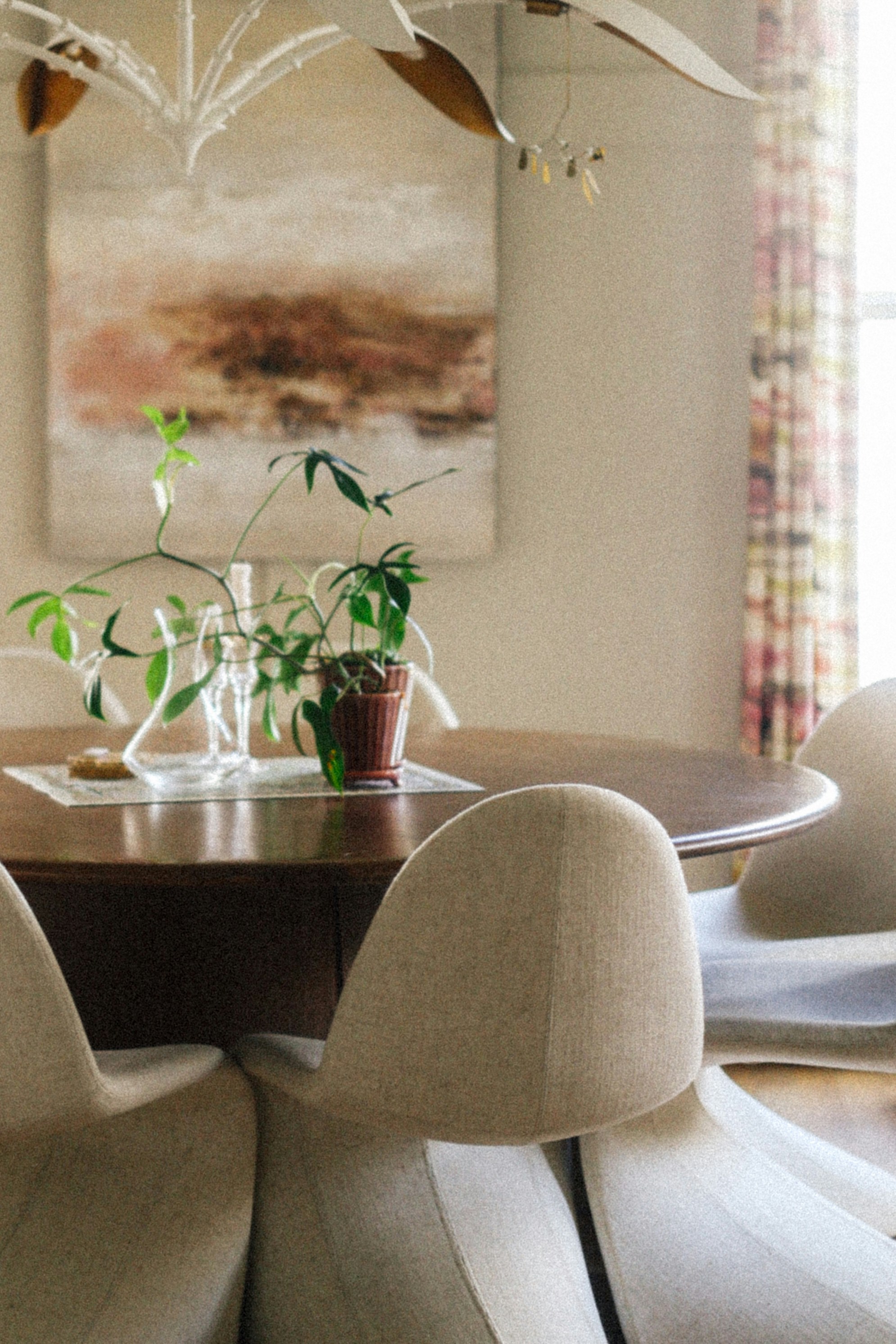 Photo by brookebalentine