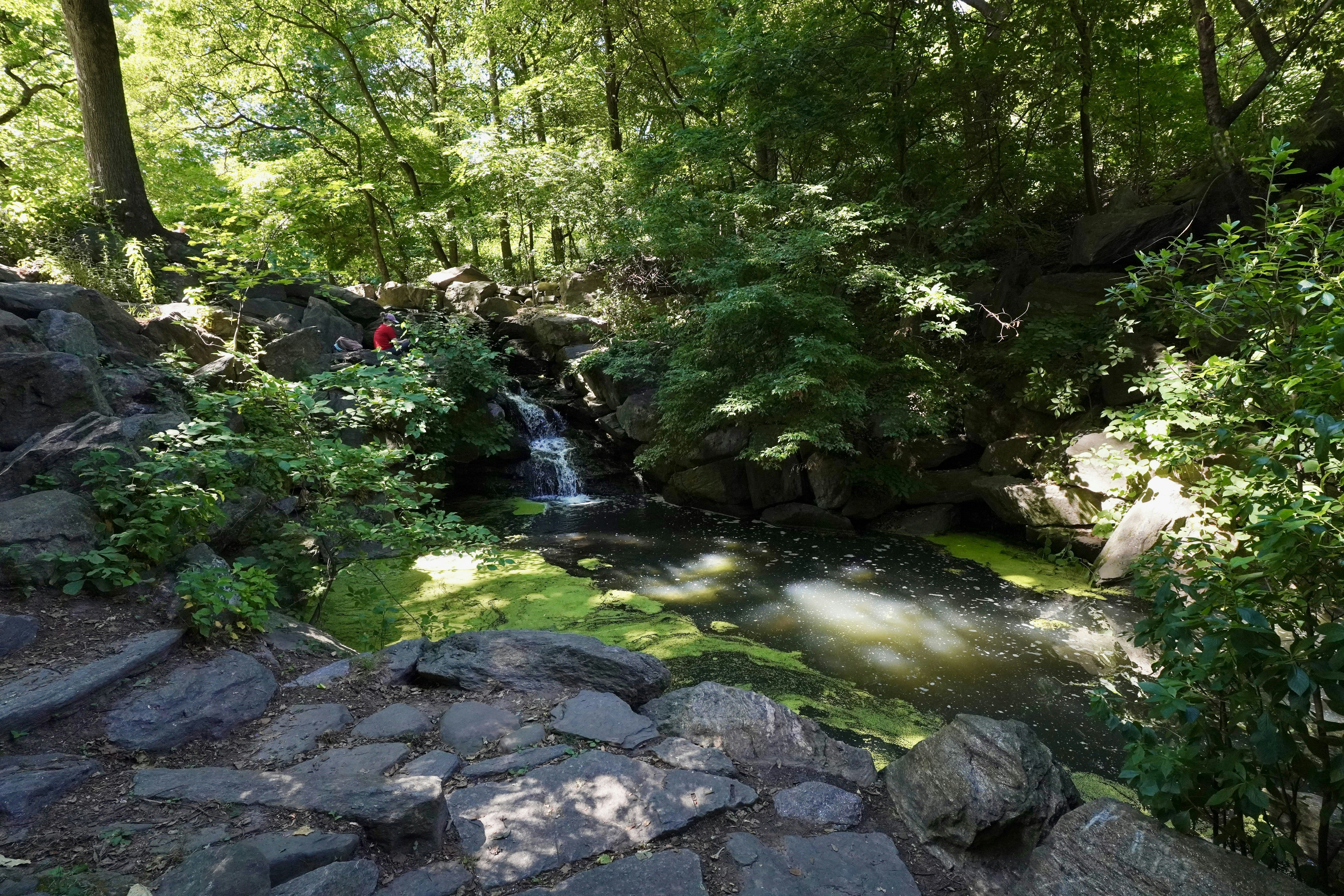 Photo by brettwharton