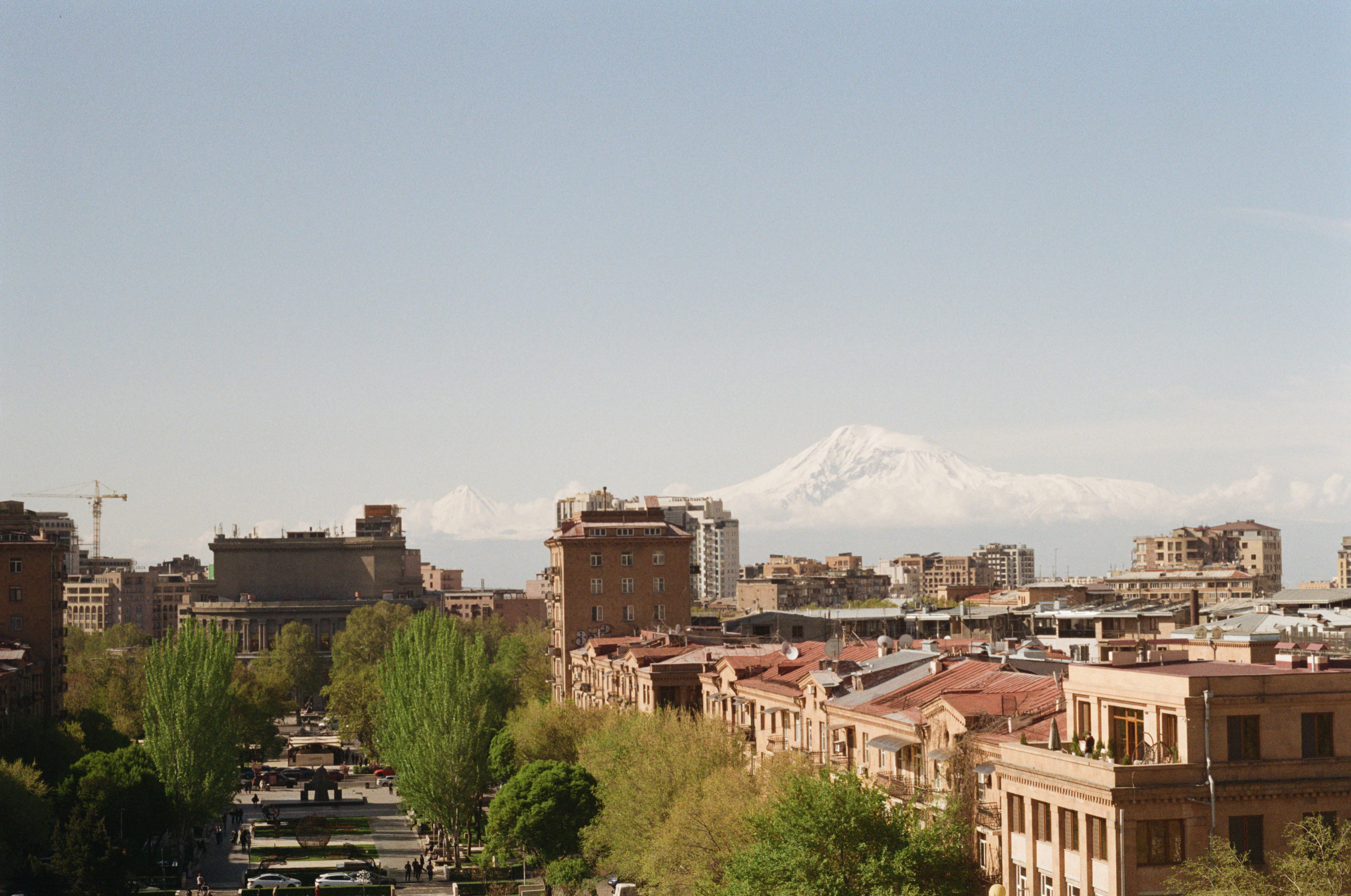 Yerevan's rooftops down a tree-lined avenue, Mount Ararat standing white on the horizon