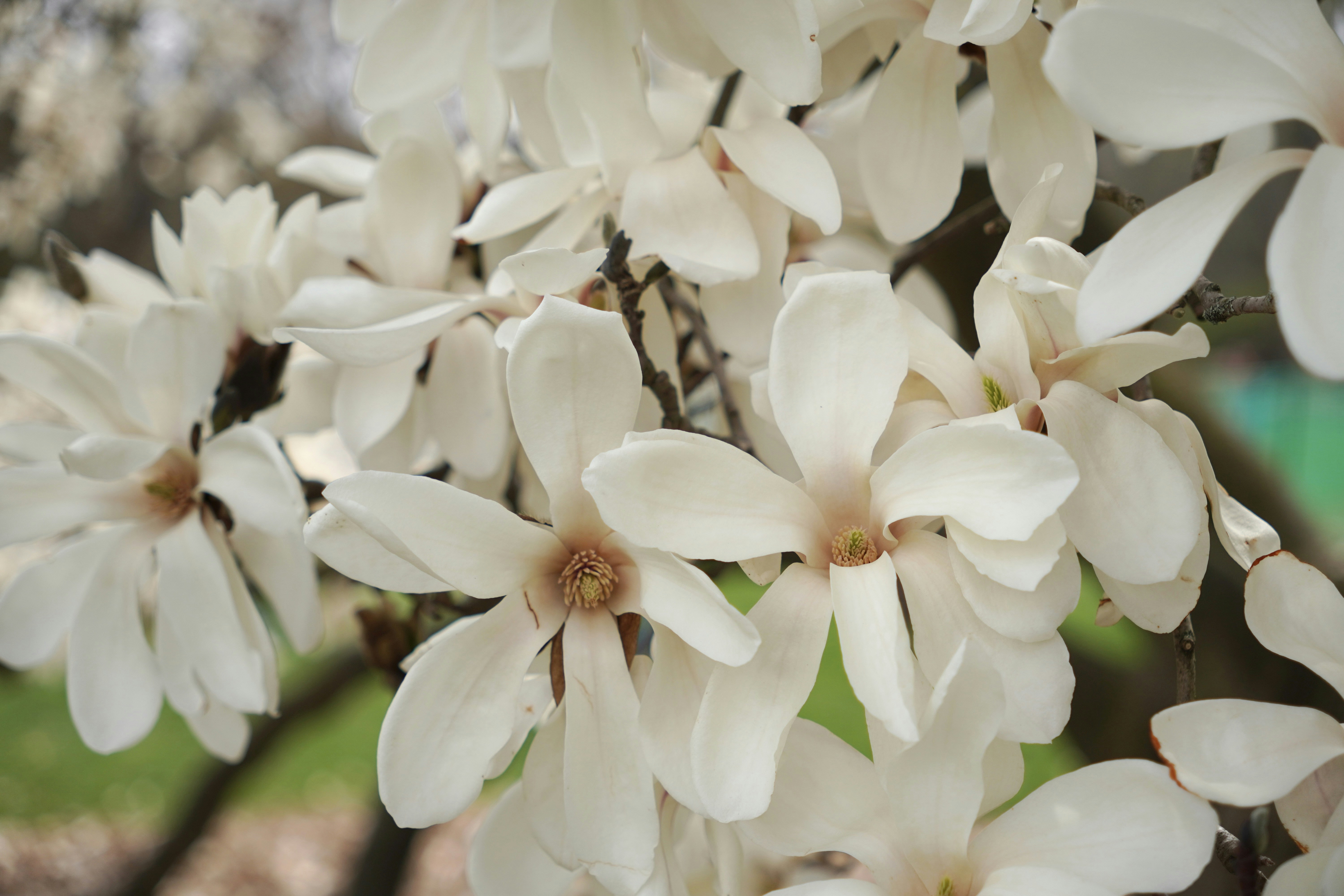 Photo by brettwharton