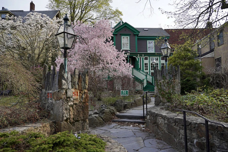 Historic house with green trim framed by pink and white magnolia trees in spring