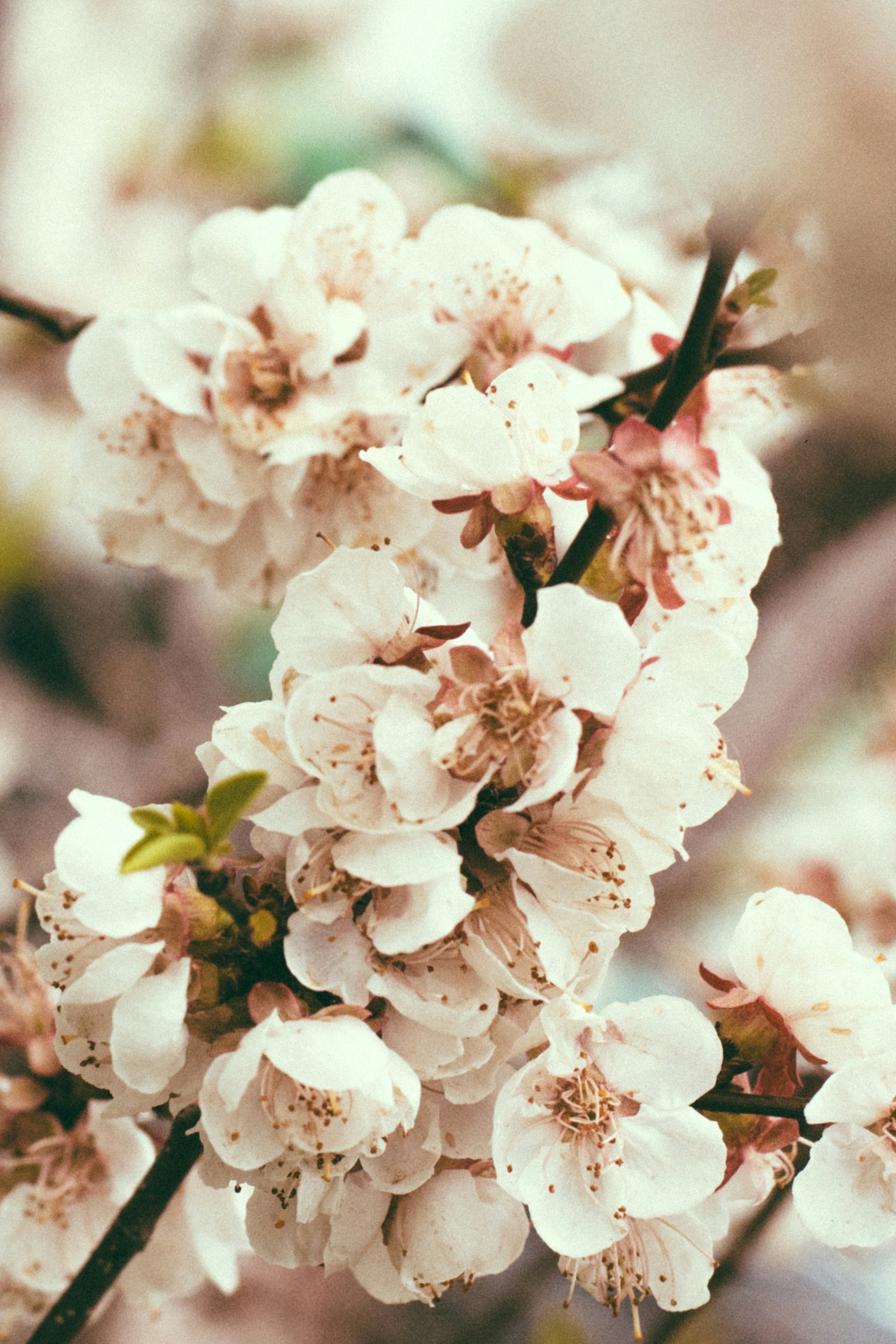 Photo by gwynbleidd62