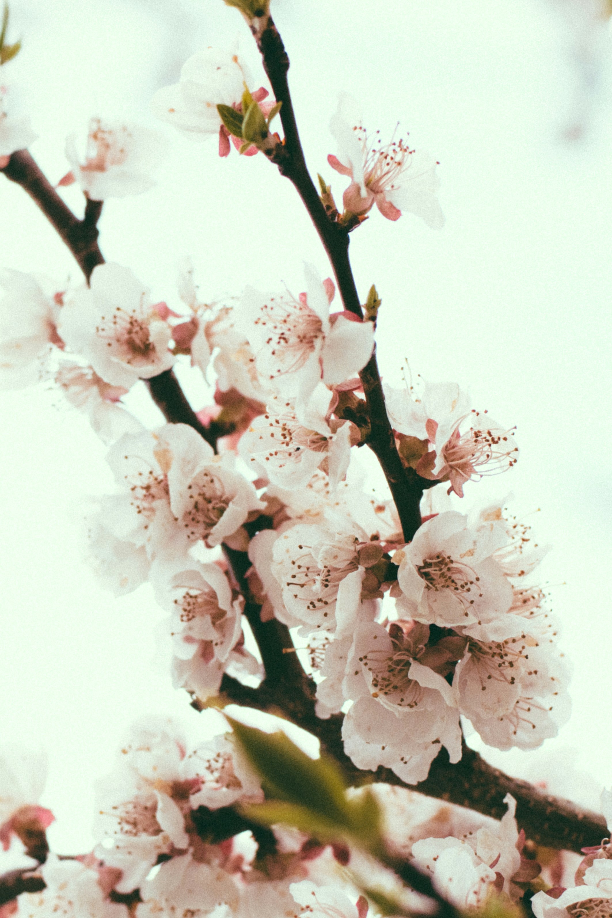 Photo by gwynbleidd62