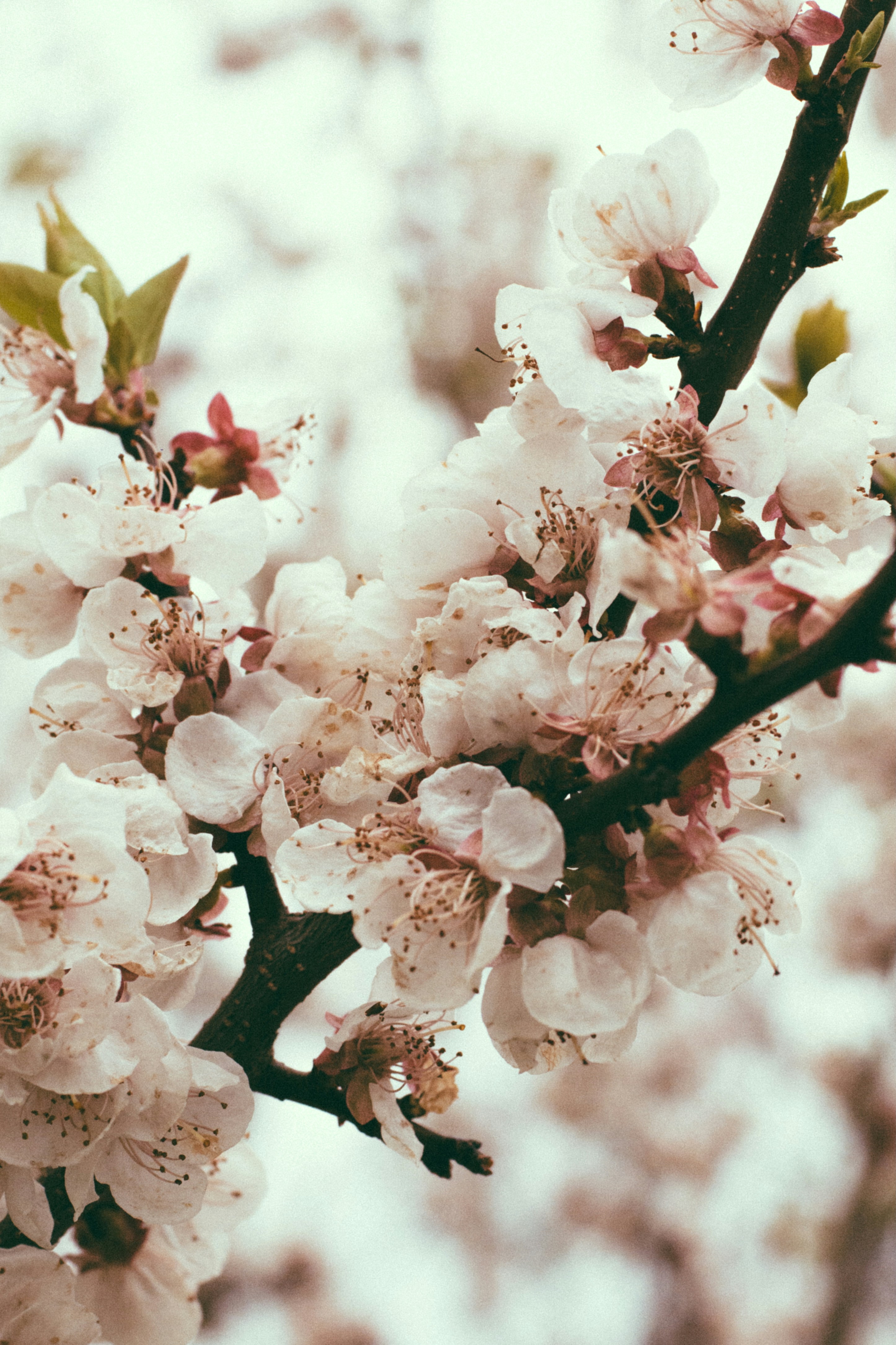 Photo by gwynbleidd62