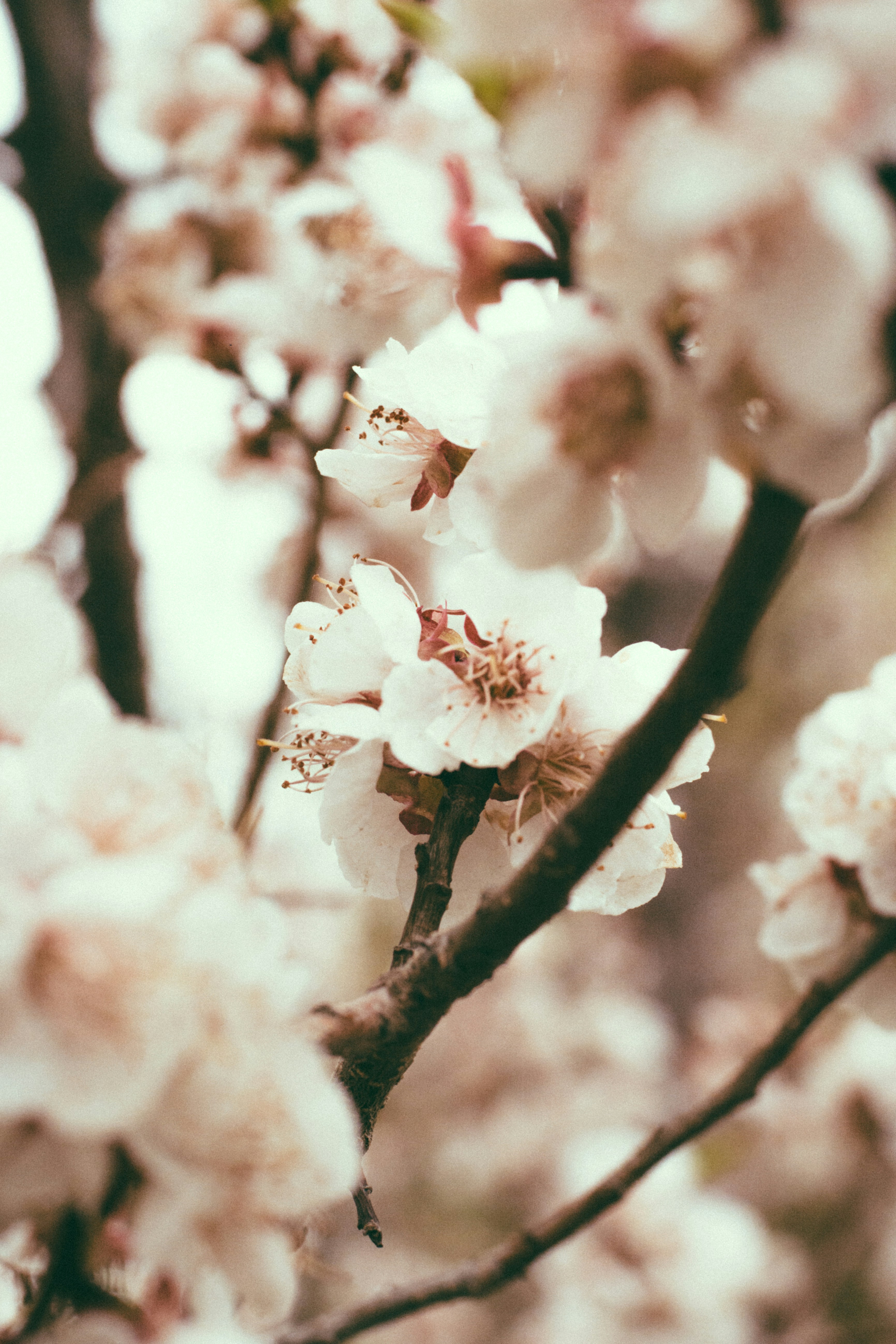 Photo by gwynbleidd62