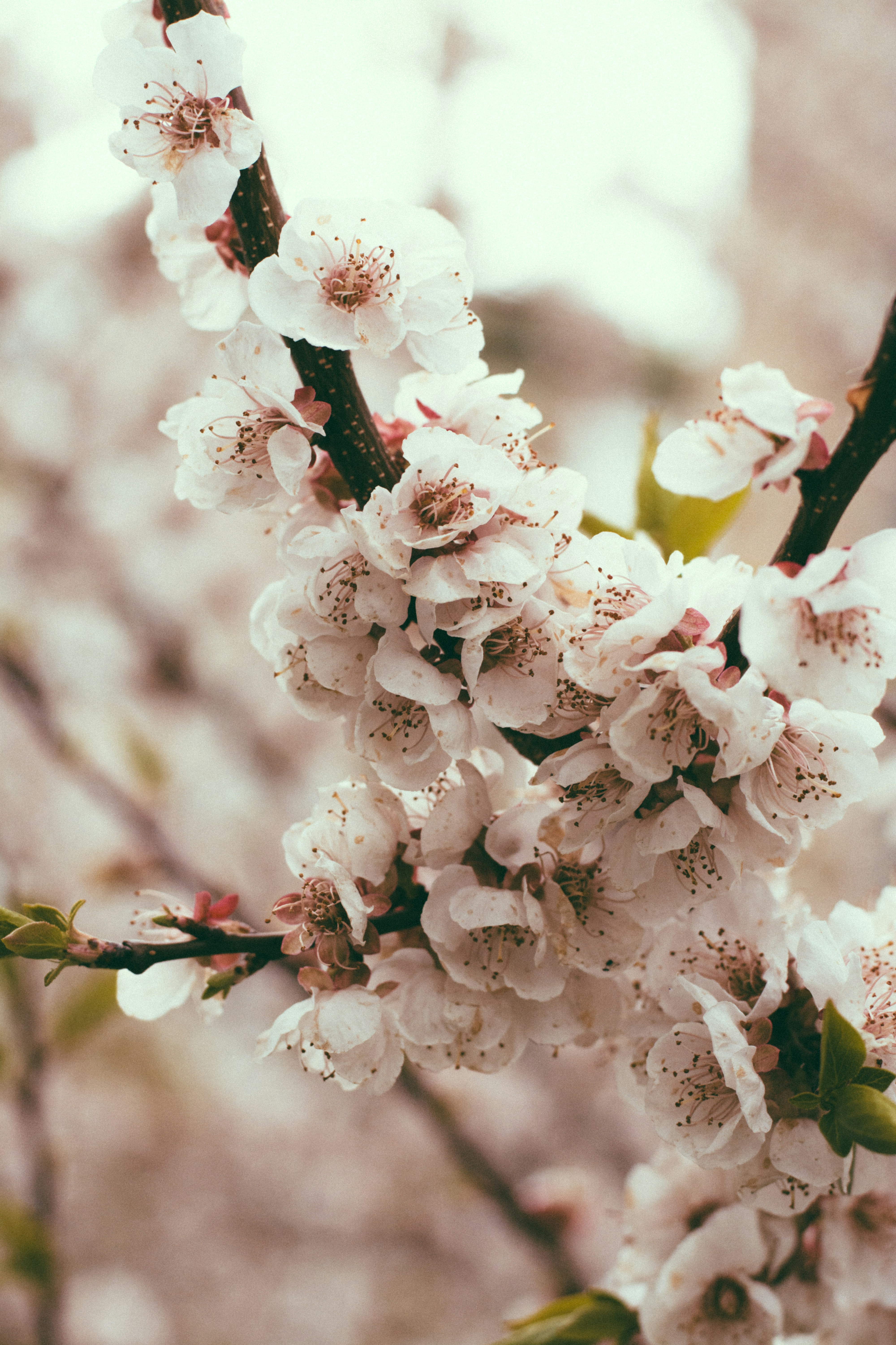 Photo by gwynbleidd62