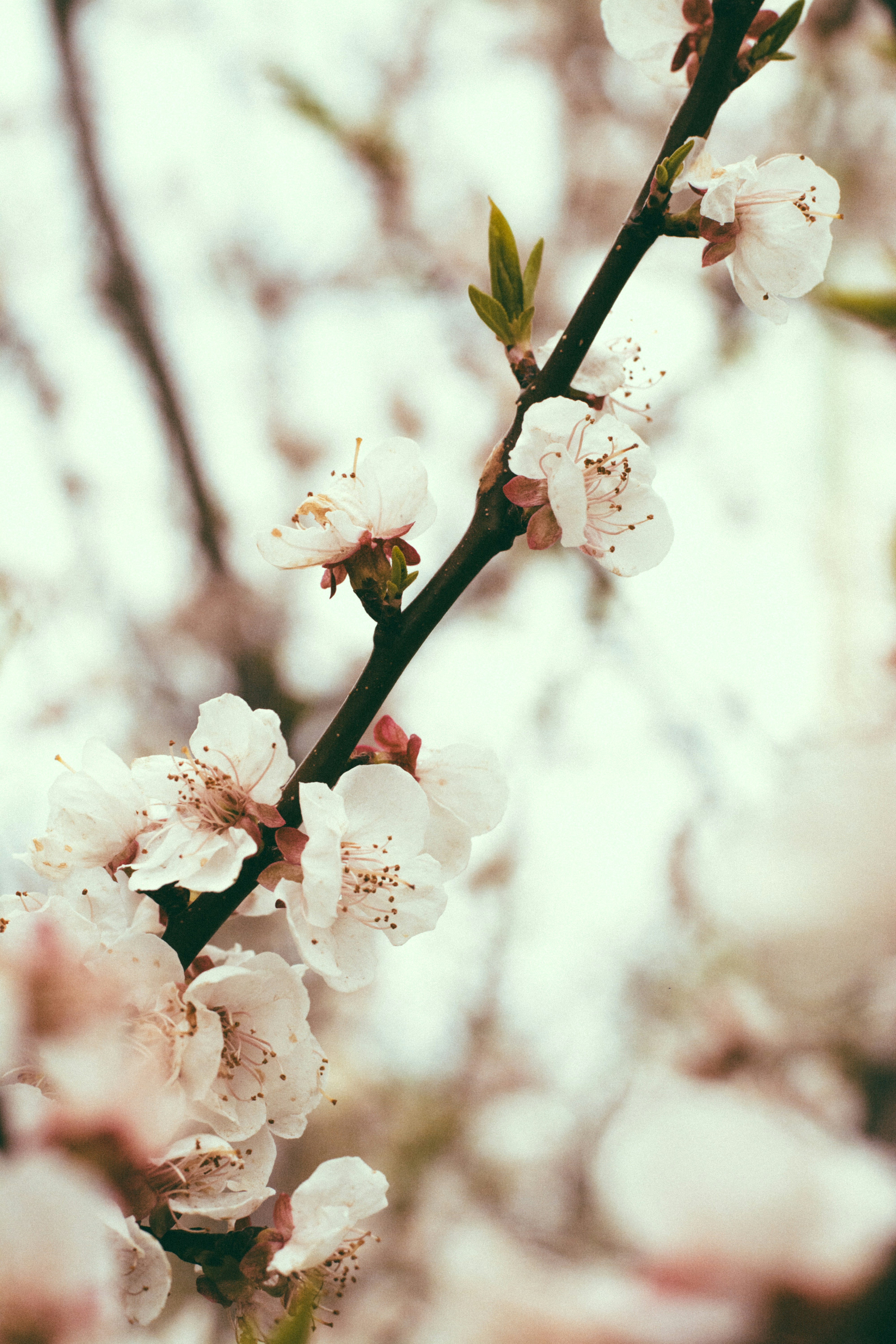 Photo by gwynbleidd62