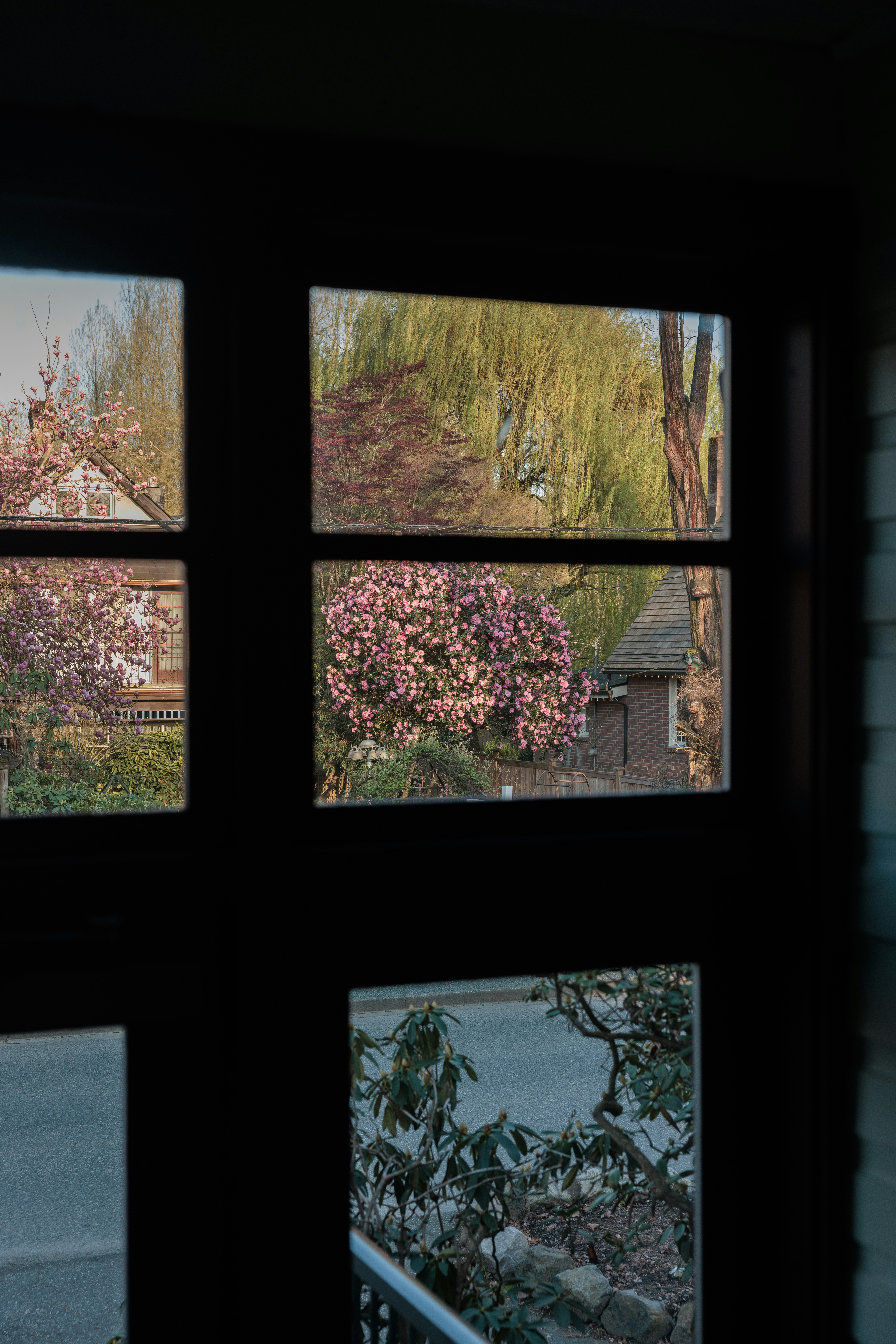 View outside a window with colorful spring blooms.