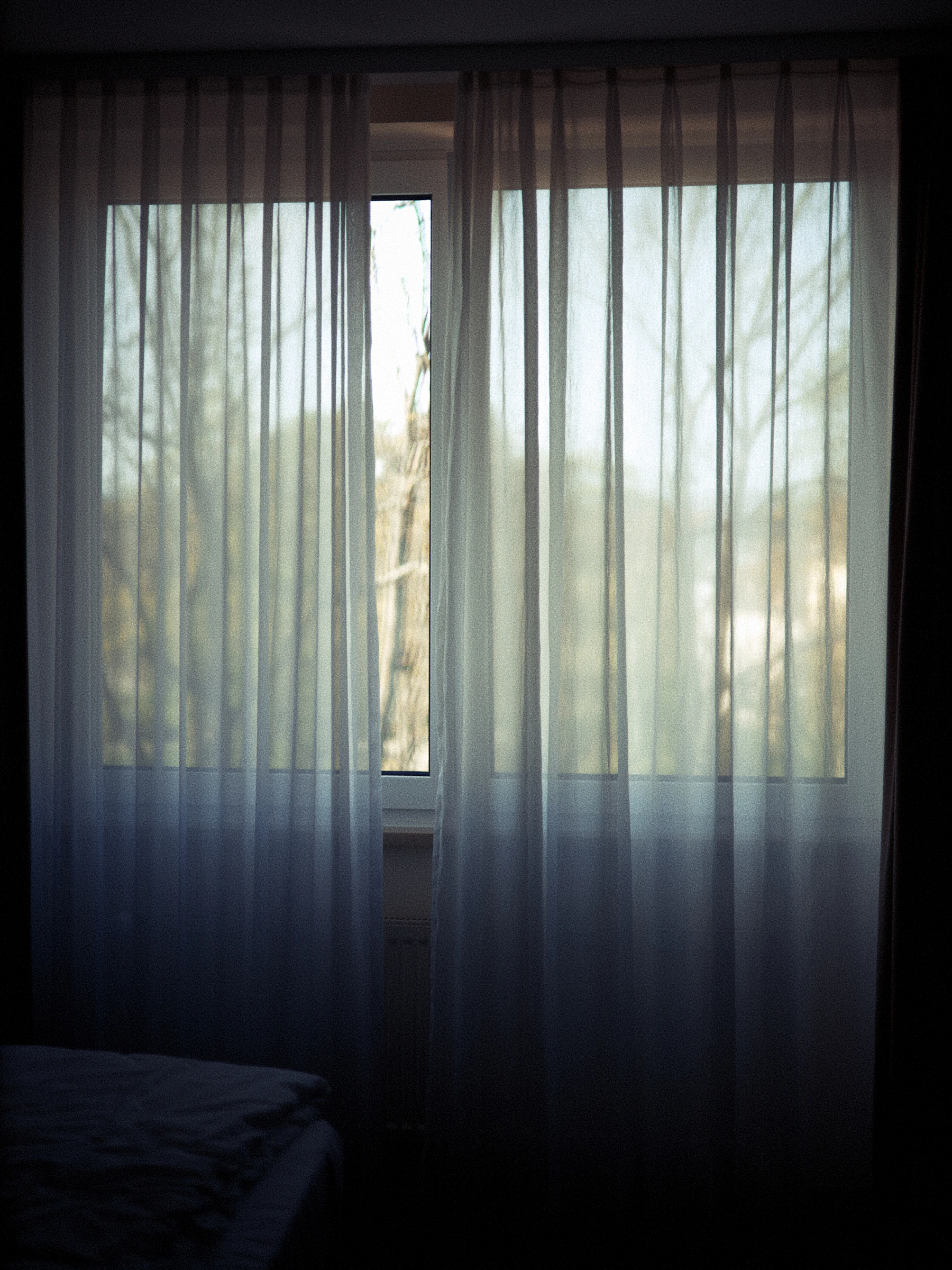 Sheer curtains framing trees outside, the room held in stillness.