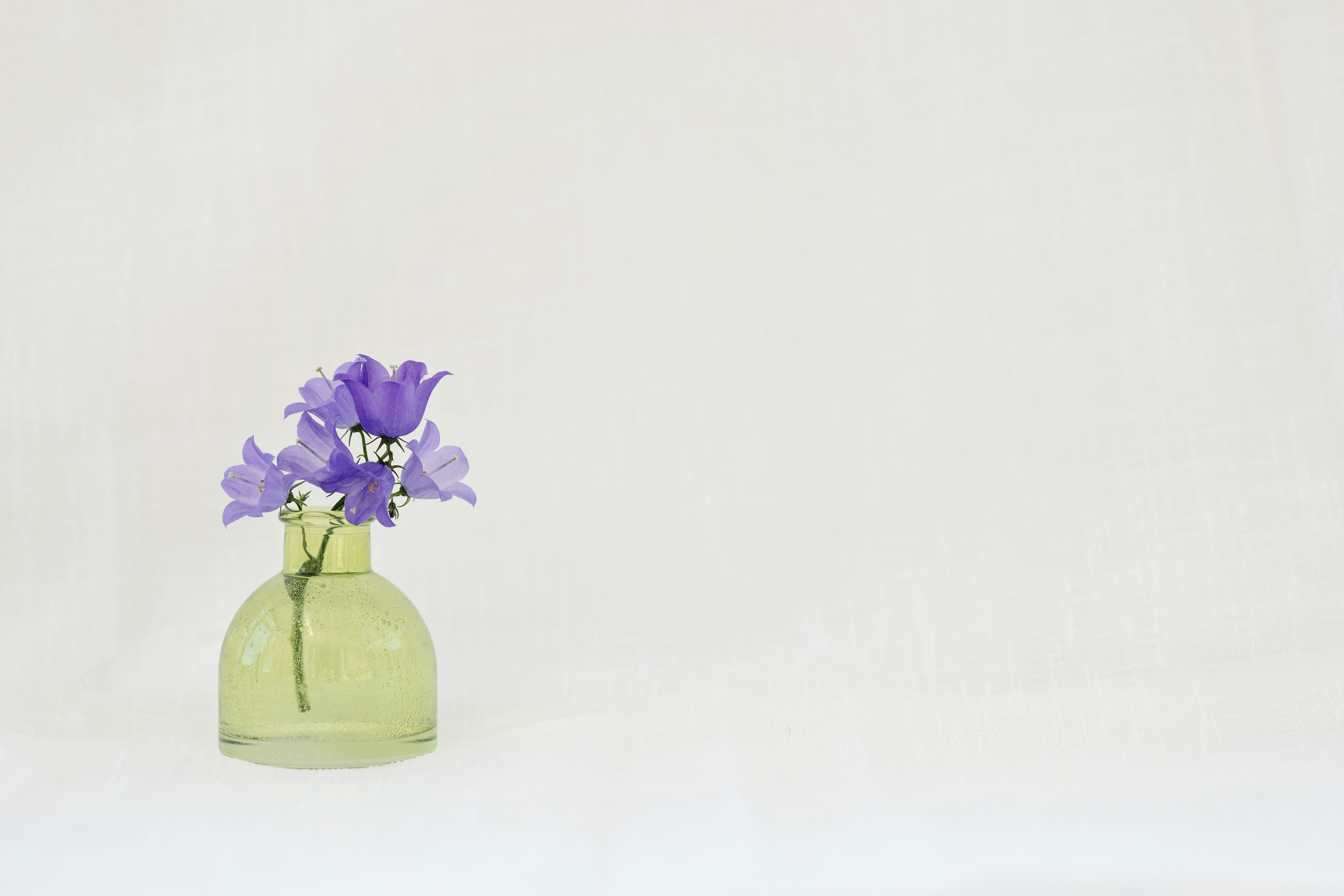 Photo by nataliekinnear