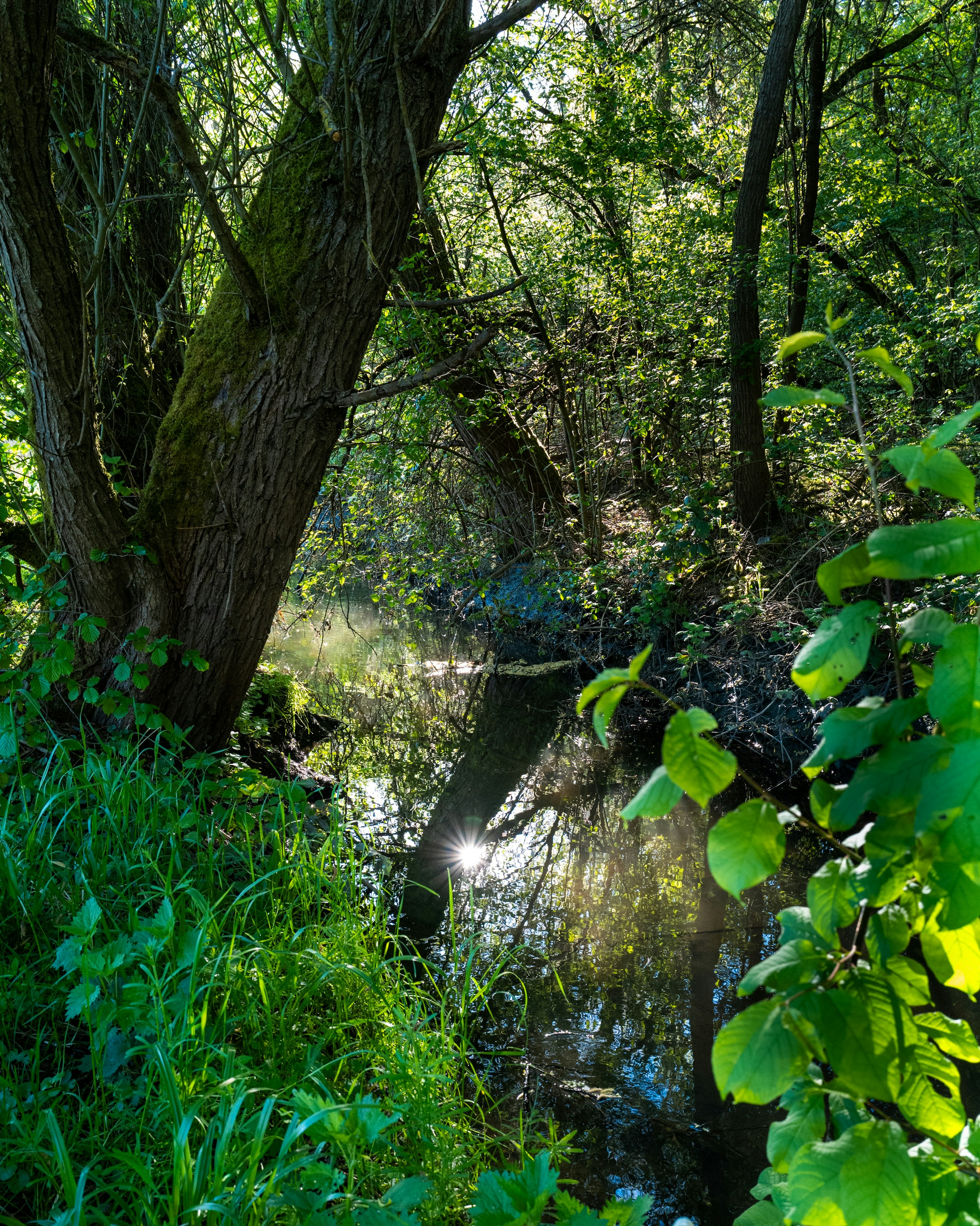 Photo by maikastheimer