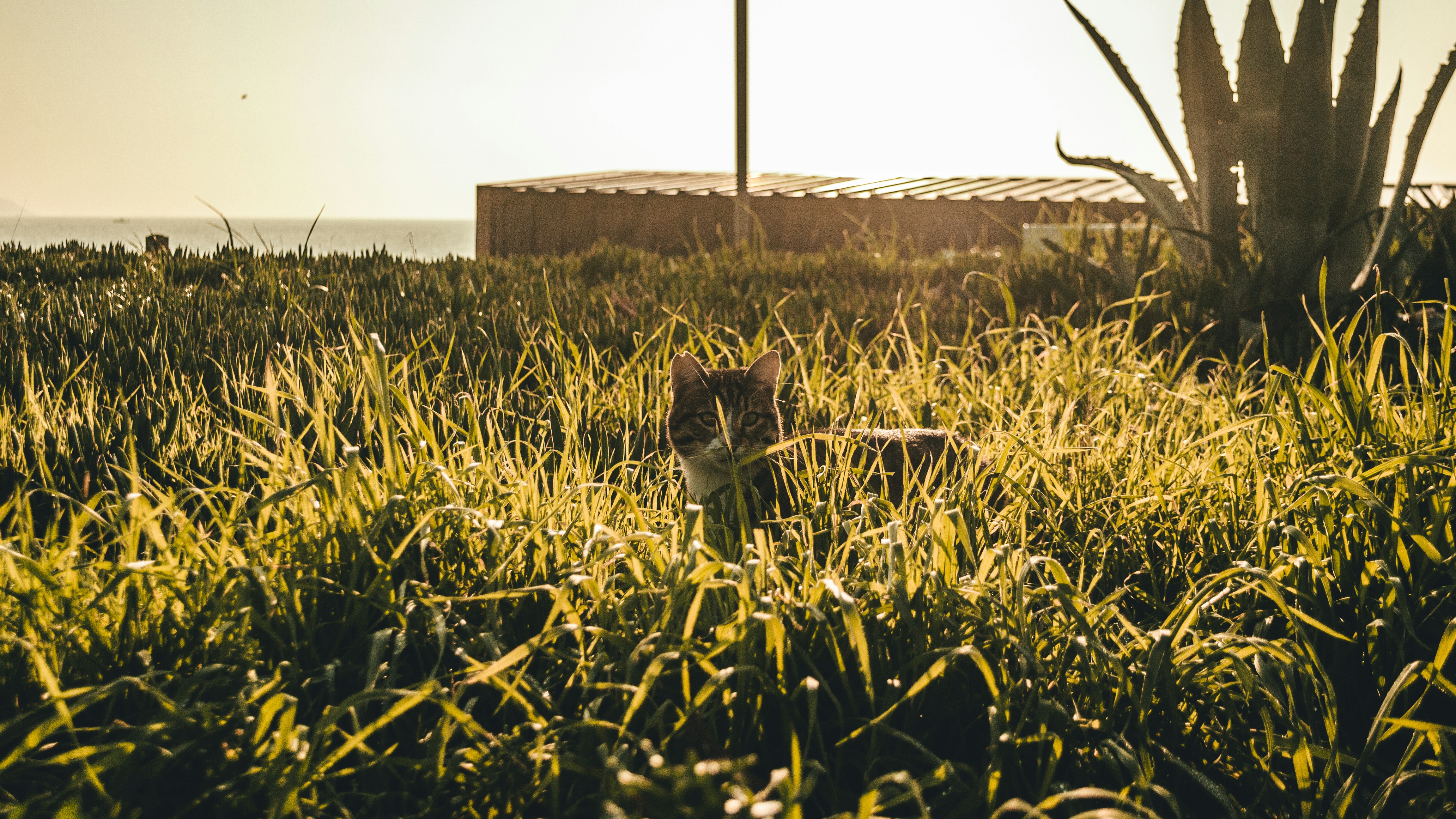 Photo by tunahankuzgun