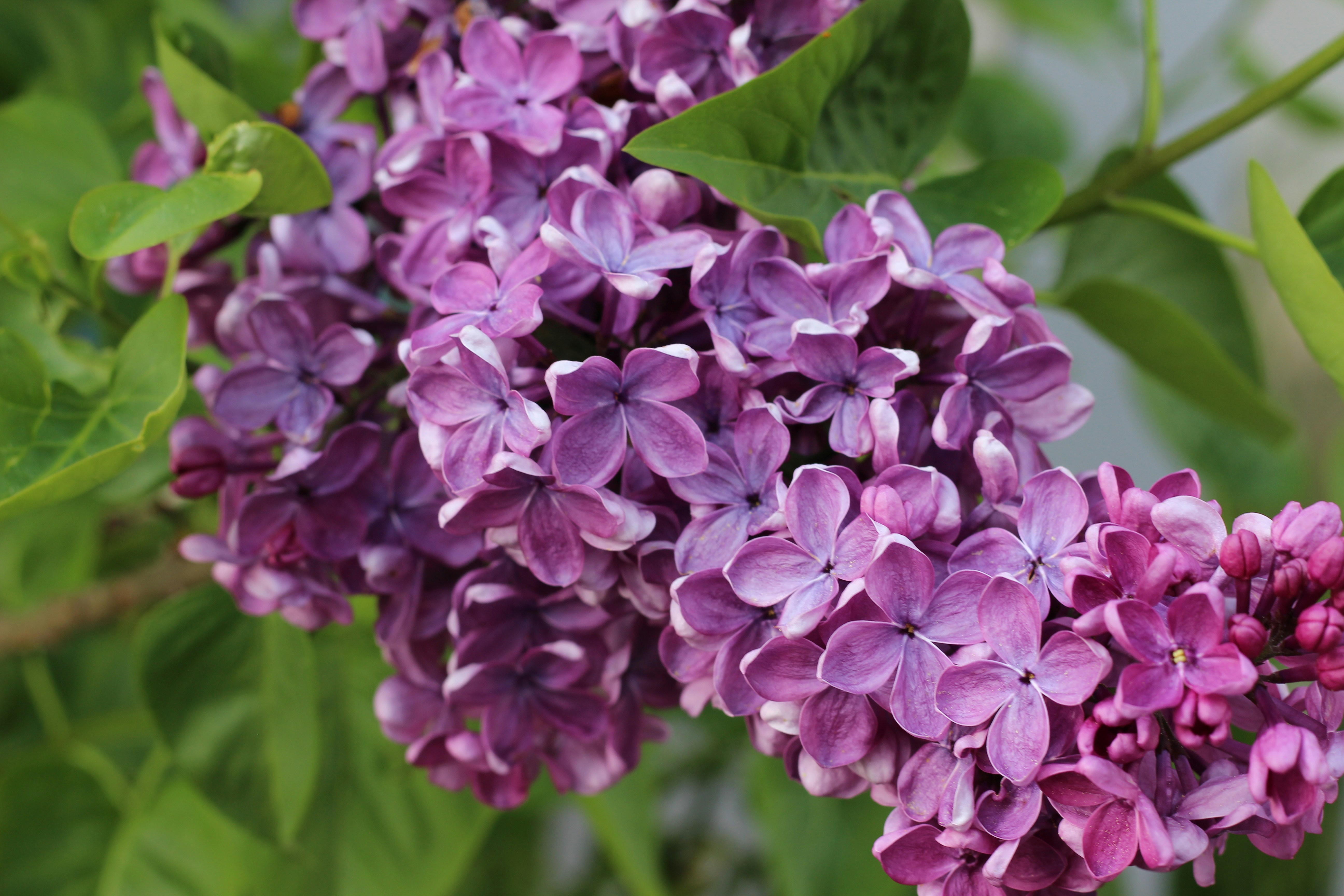 Photo by clem_community