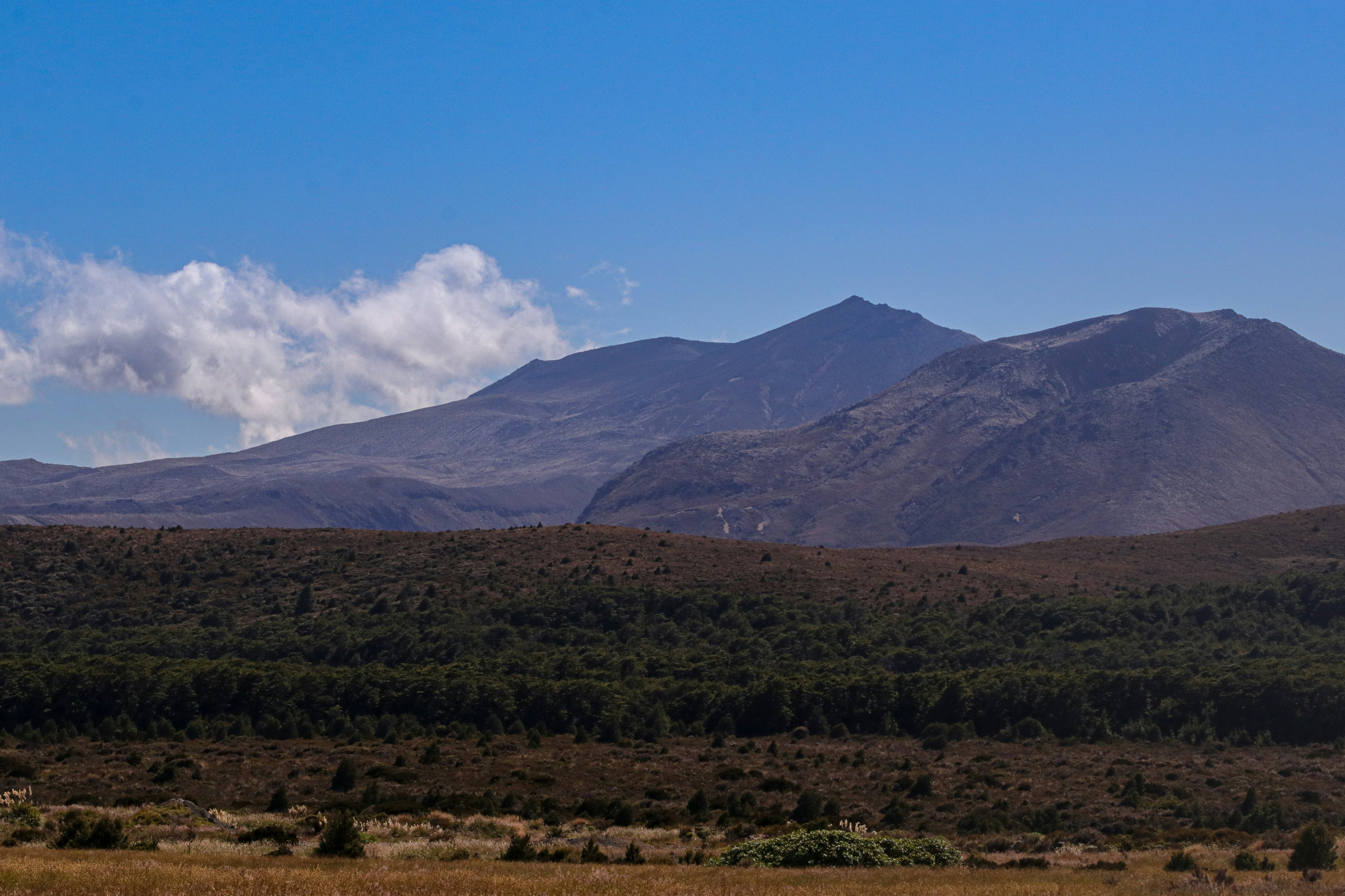 Mountains rise majestically under a blue sky.